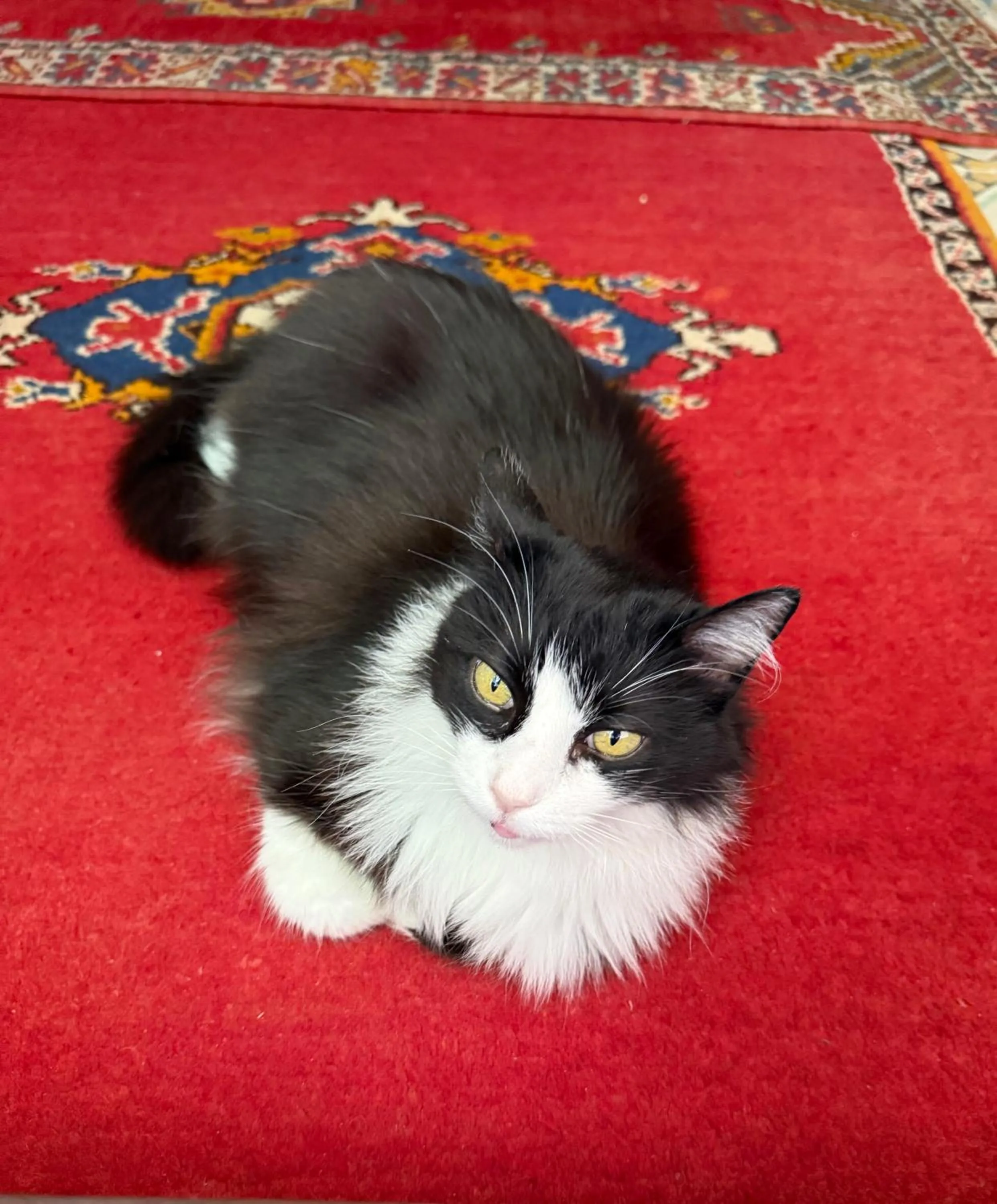 Property building in Riad Mouna