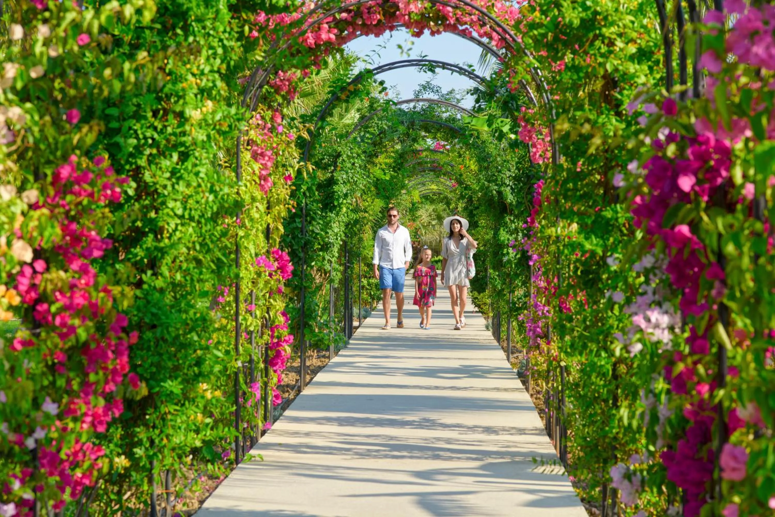 Garden in Novum Garden Side Hotel