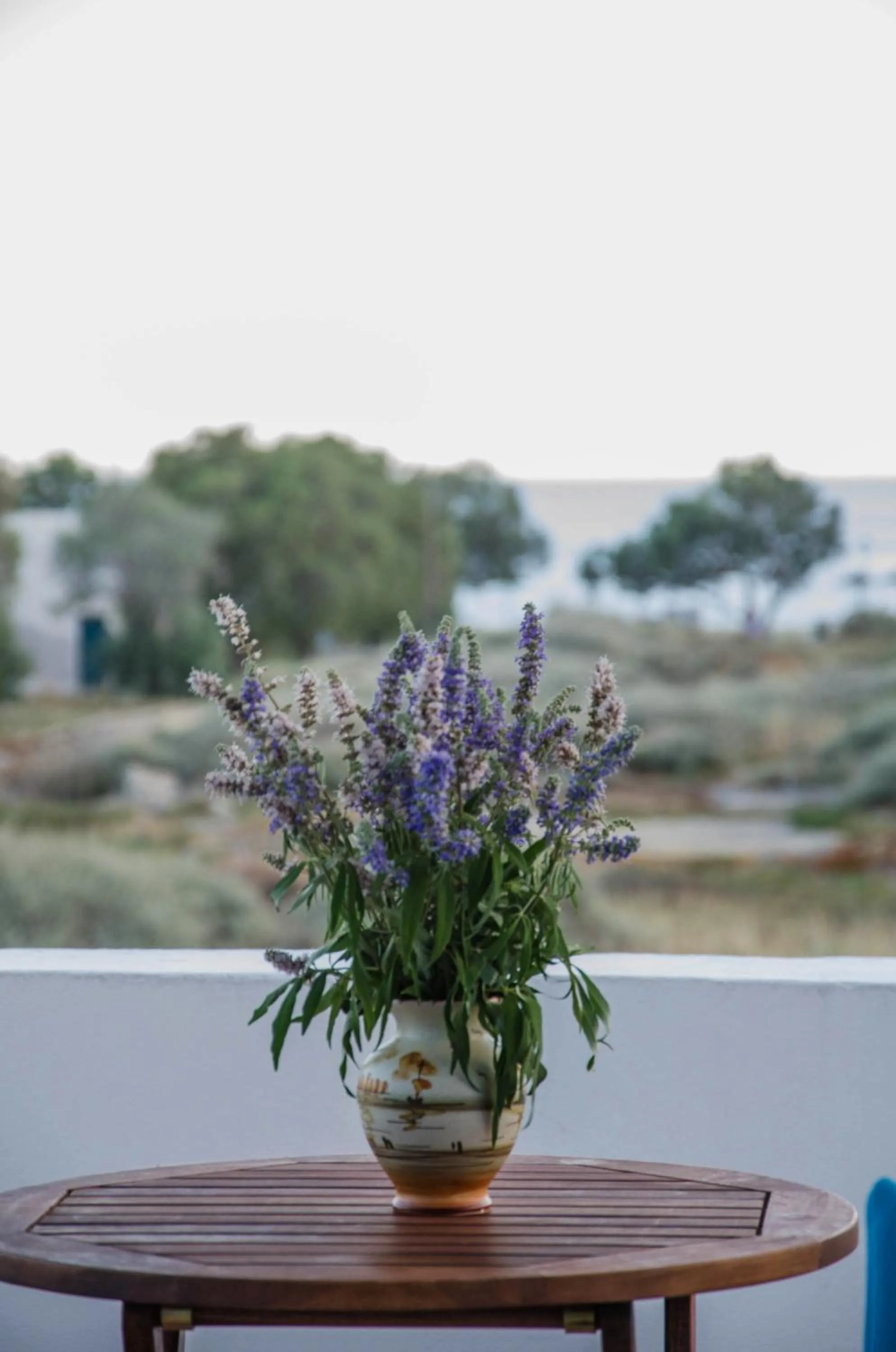 Sea view in Villa Maria