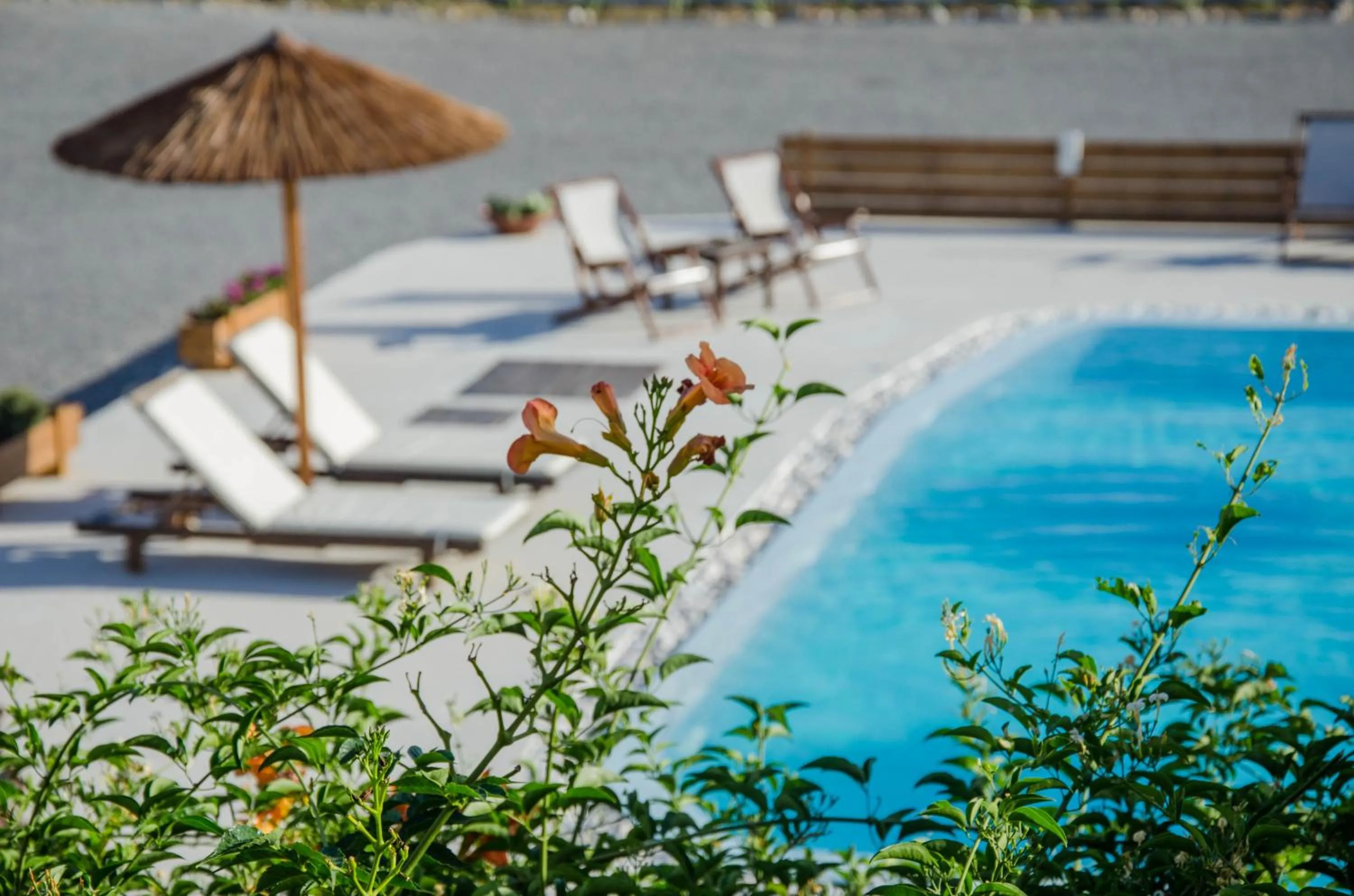 Swimming pool in Villa Maria