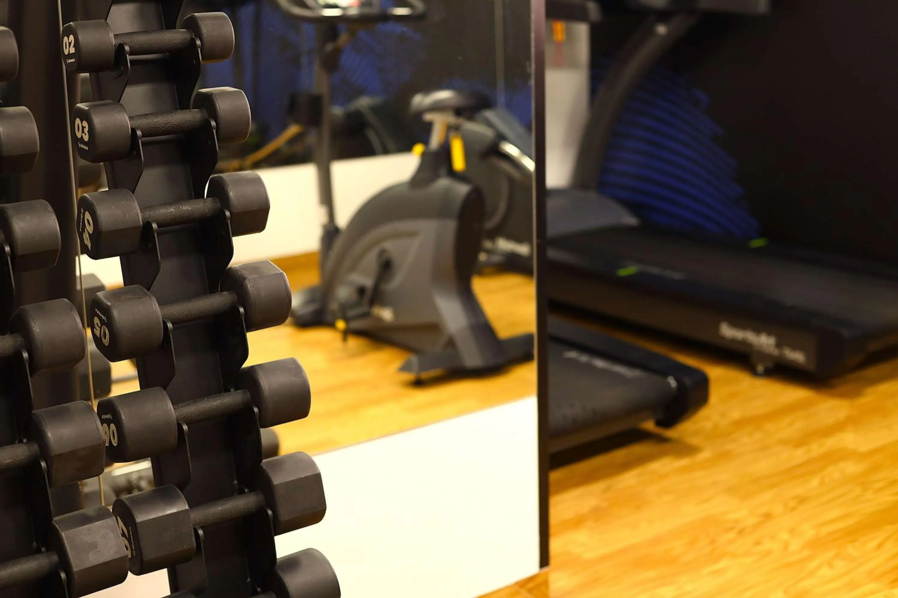 Fitness centre/facilities in Park Inn by Radisson Poznan