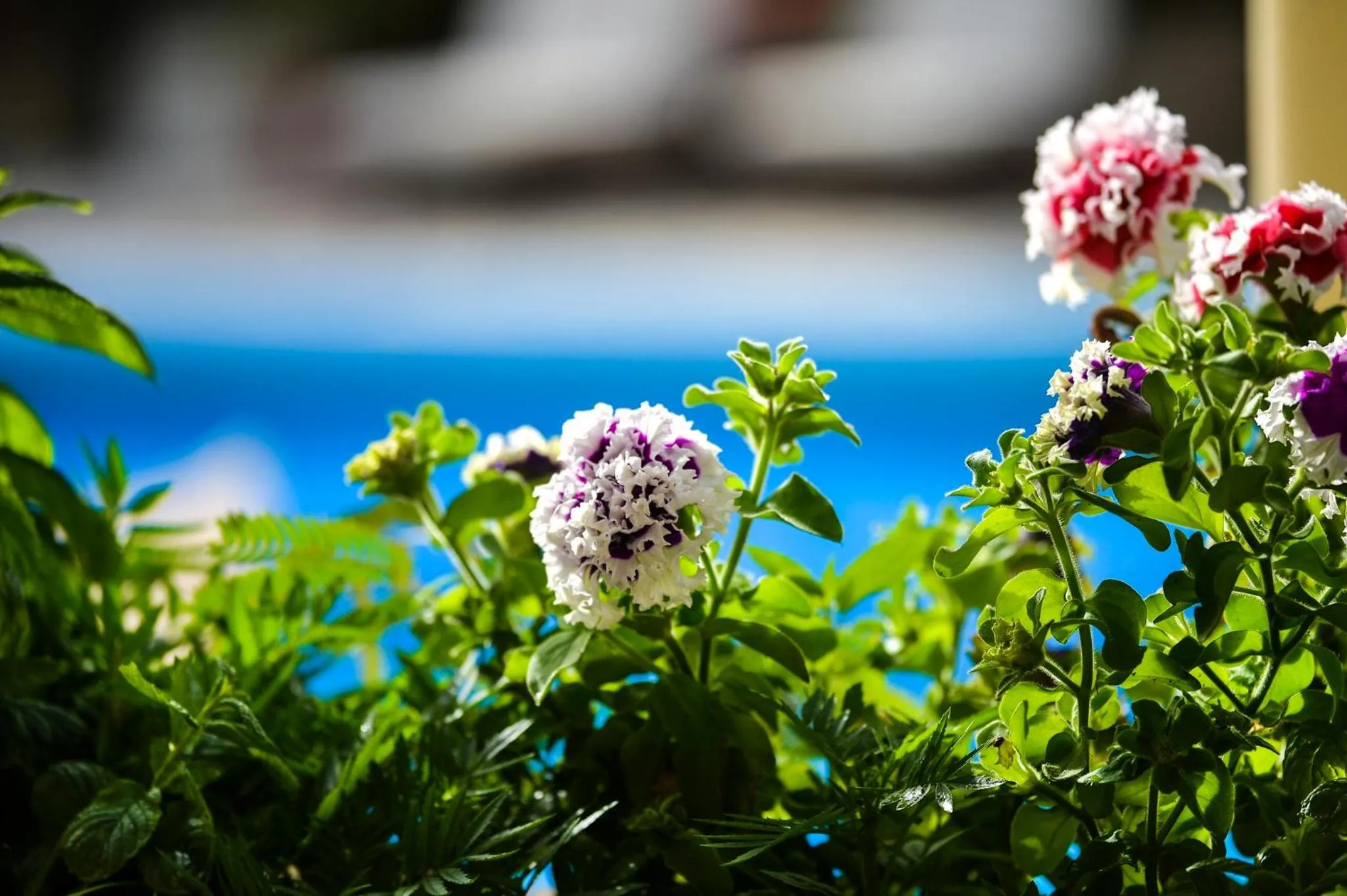 Day in Paxos Club Resort & SPA