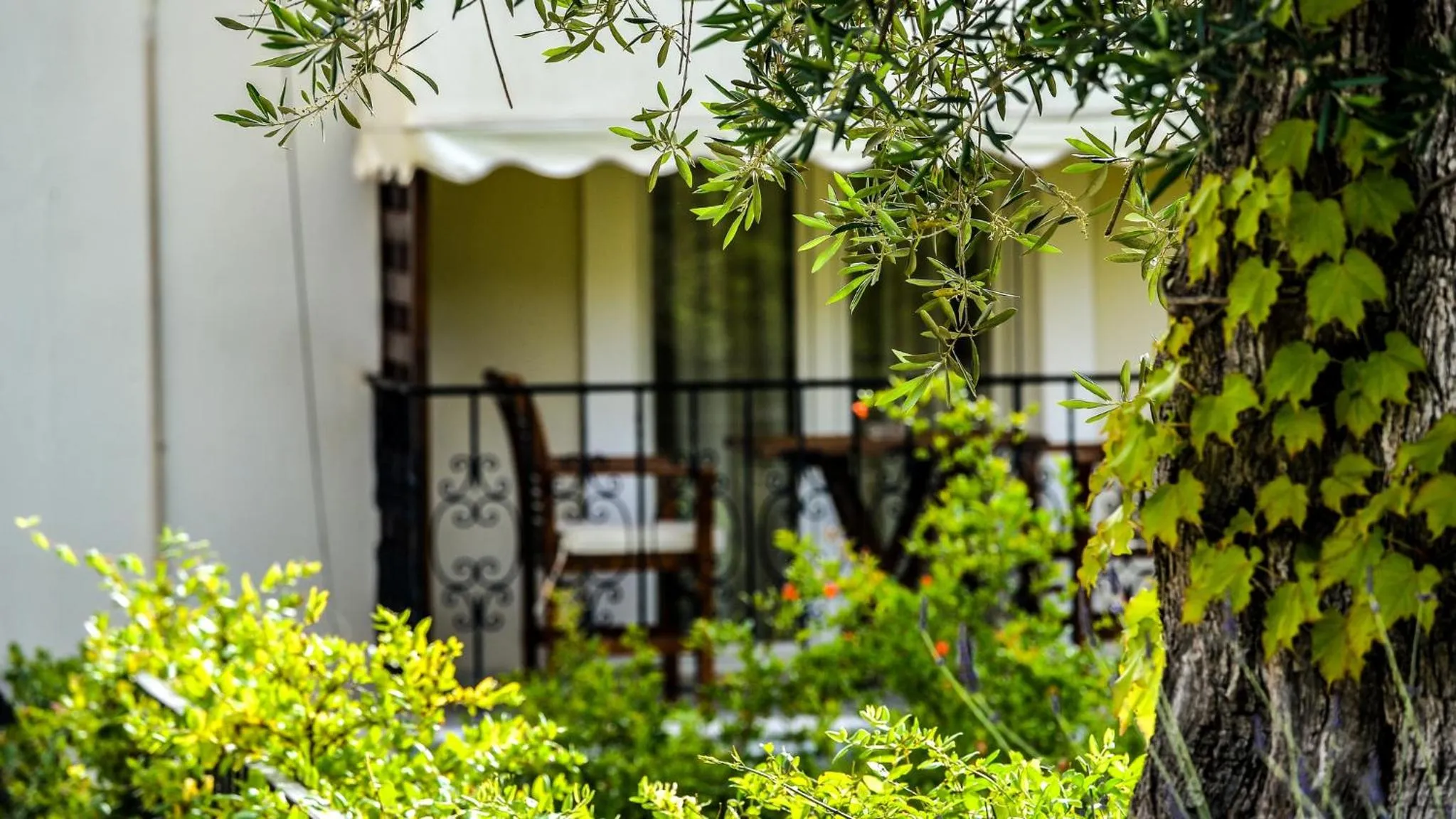 Balcony/Terrace in Paxos Club Resort & SPA