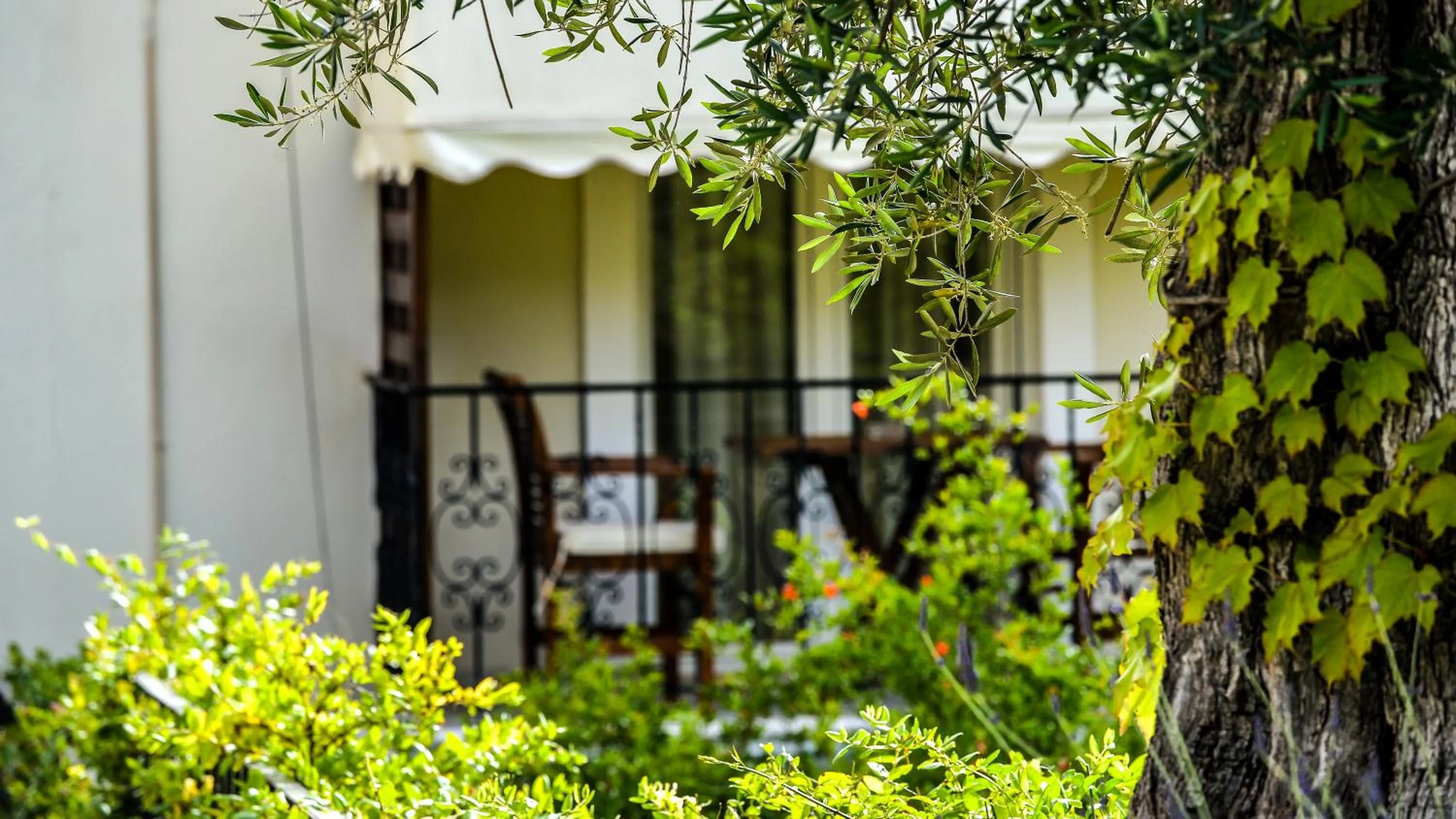 Other in Paxos Club Resort & SPA