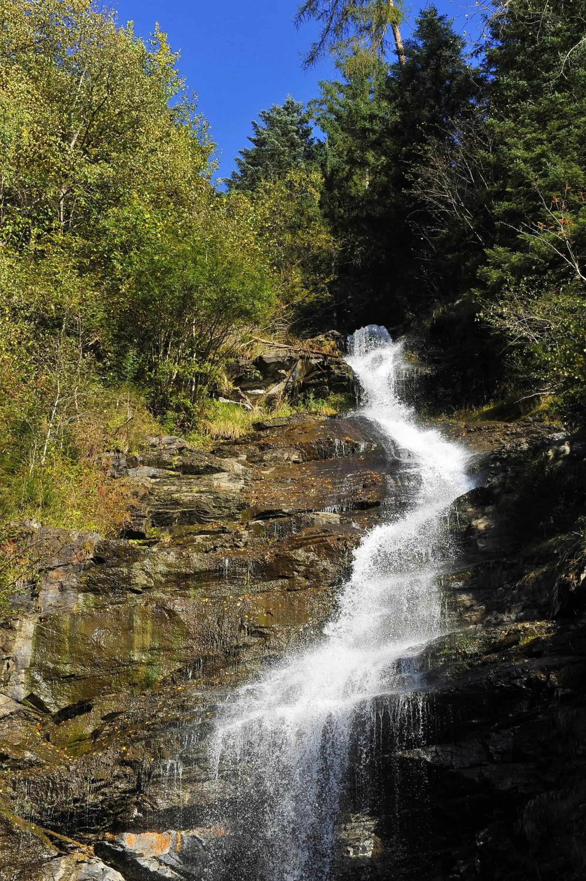 Natural landscape in Ferienhof Stadlpoint