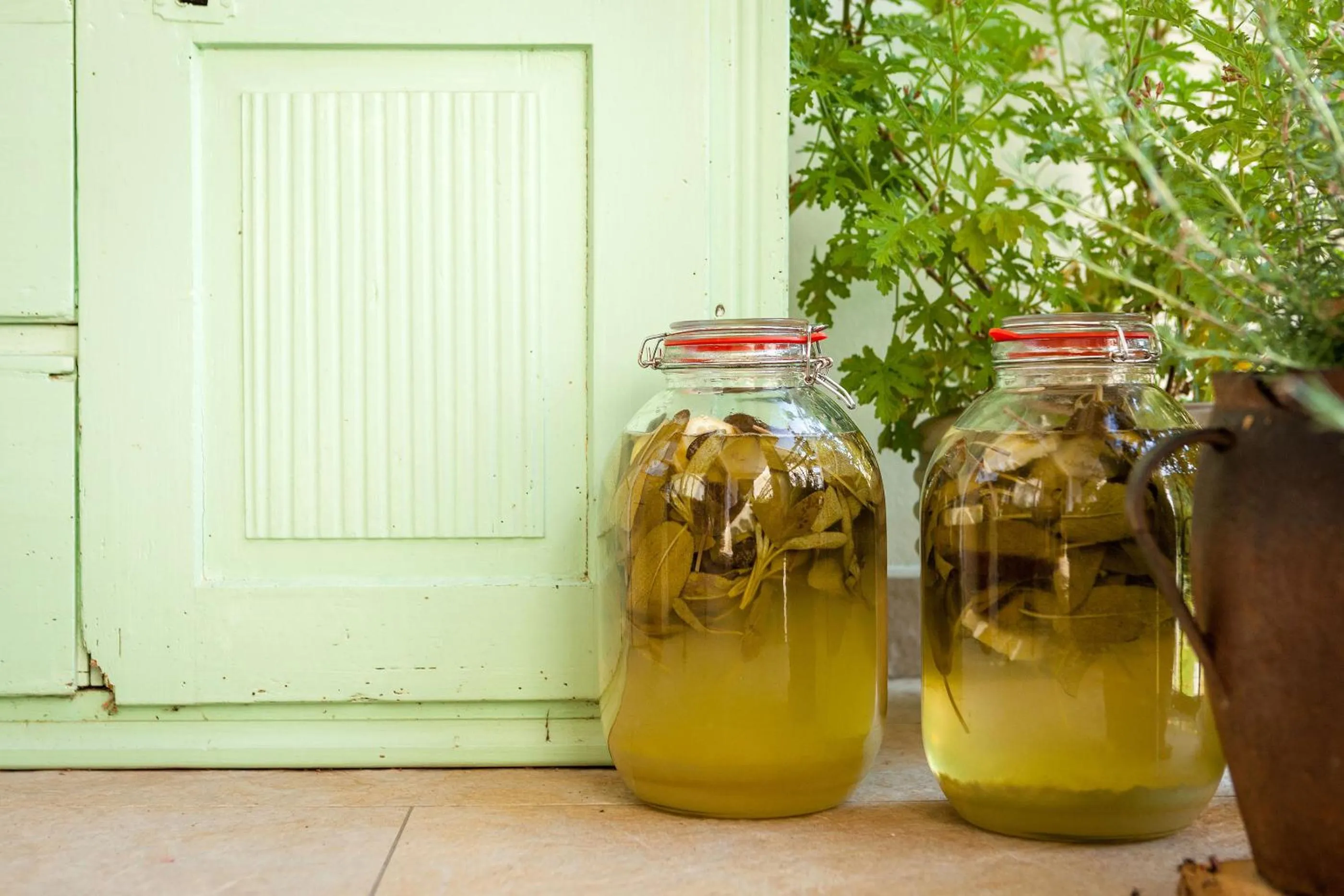 Drinks in Tourist Farm Zelinc