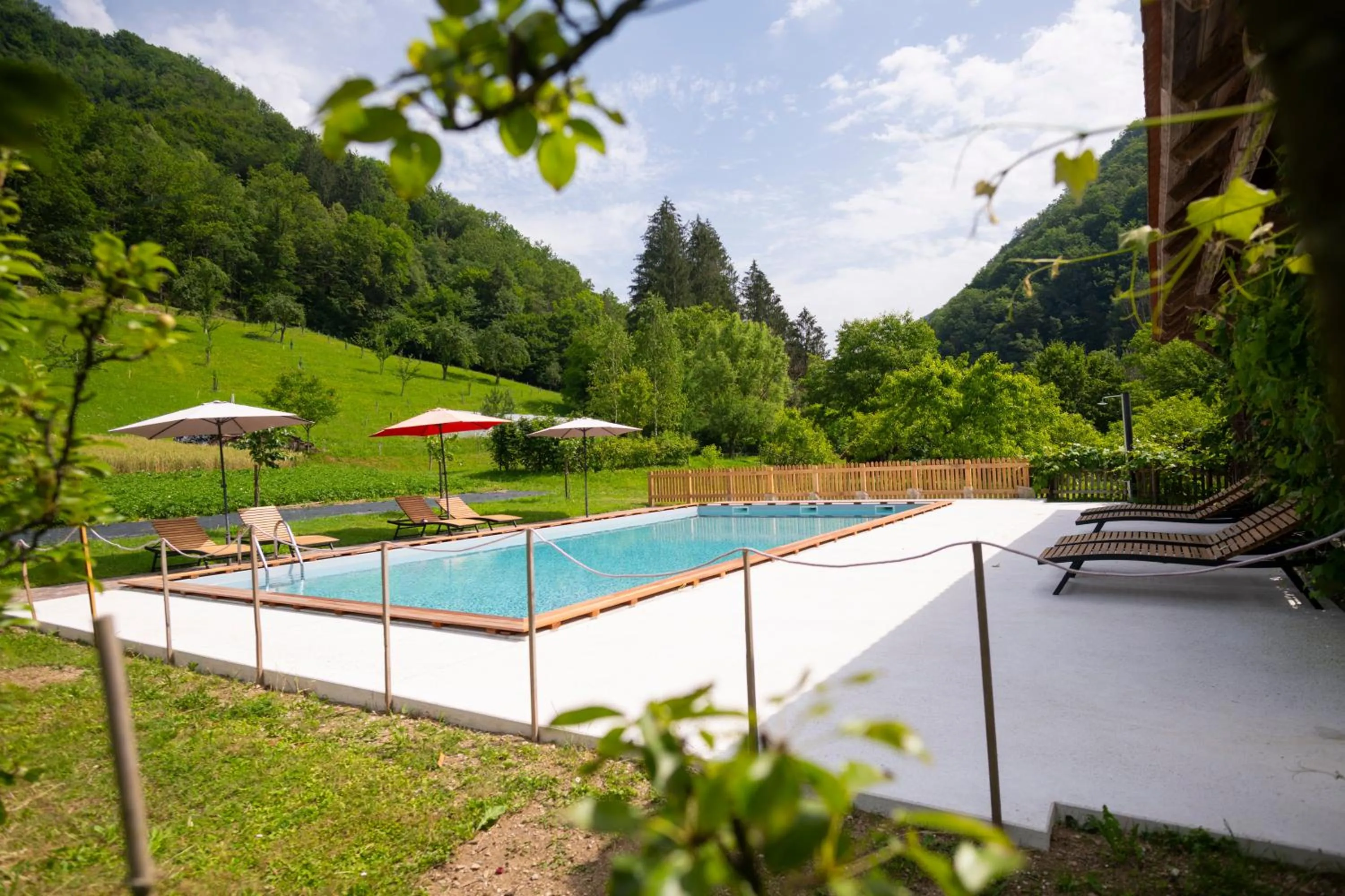 Swimming pool in Tourist Farm Zelinc