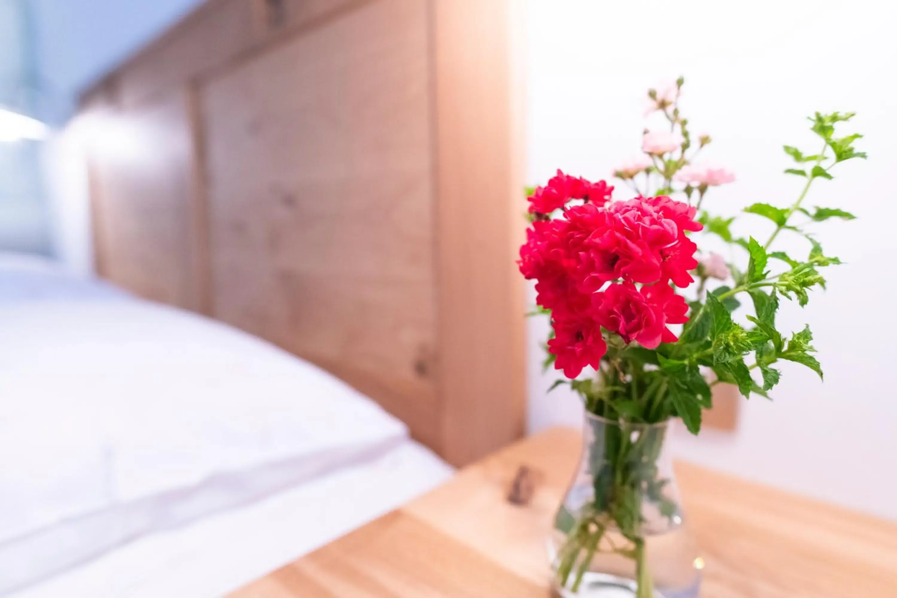 Double Room with Balcony in Tourist Farm Zelinc Double Room with Balcony in Tourist Farm Zelinc
