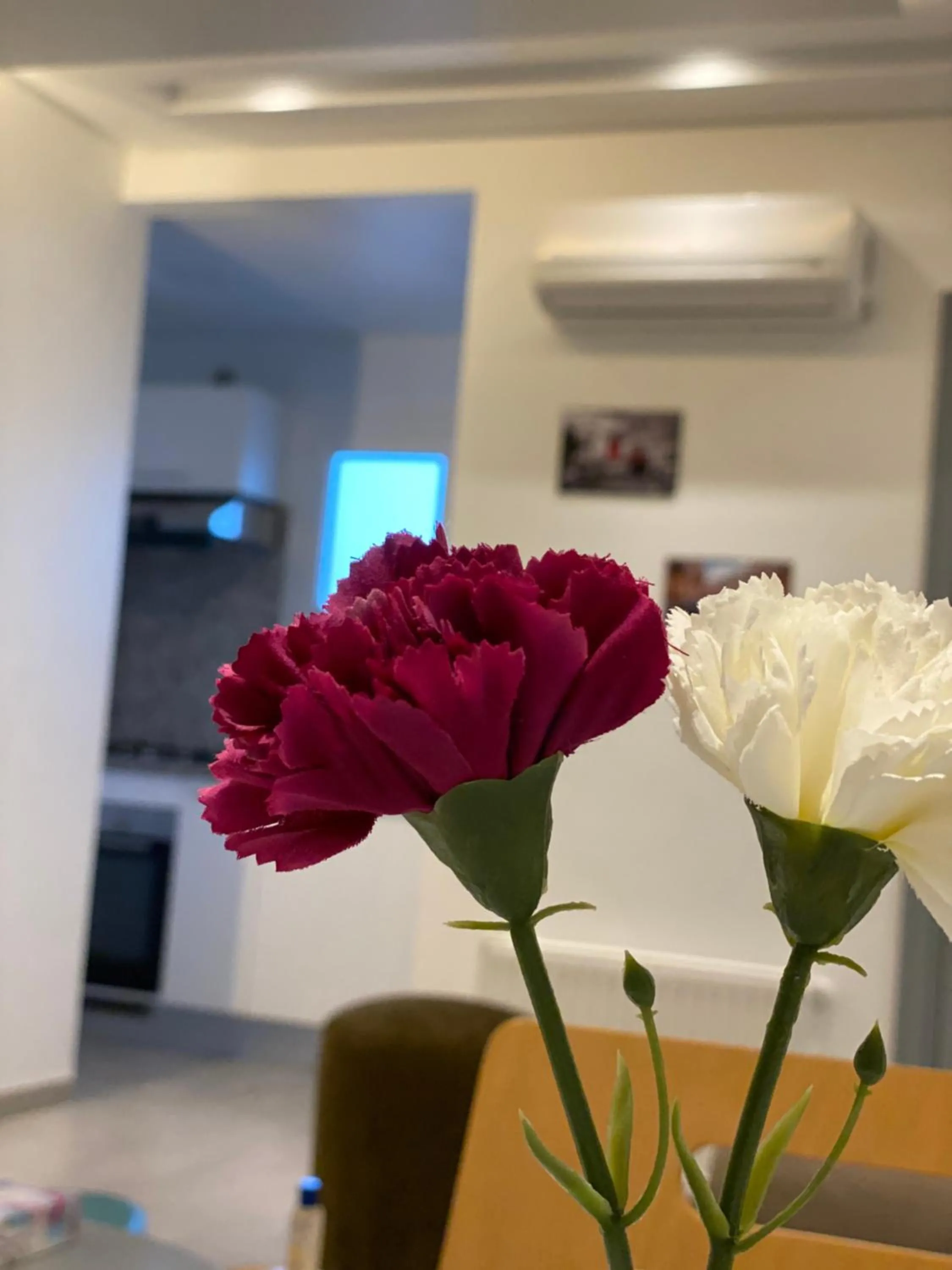 Residence haouari