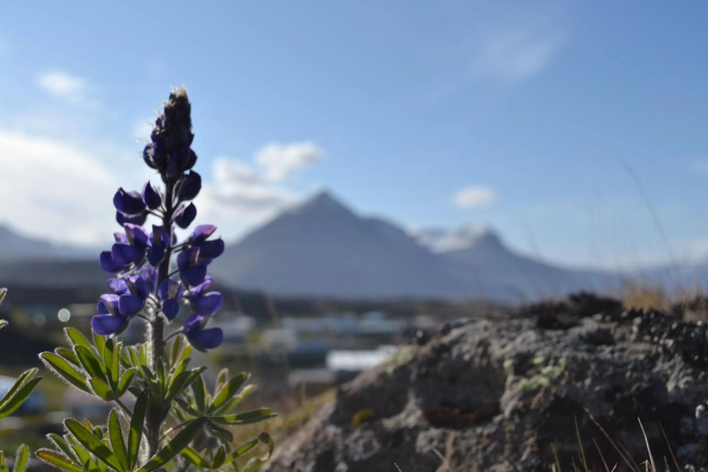 Area and facilities in Hotel Framtid