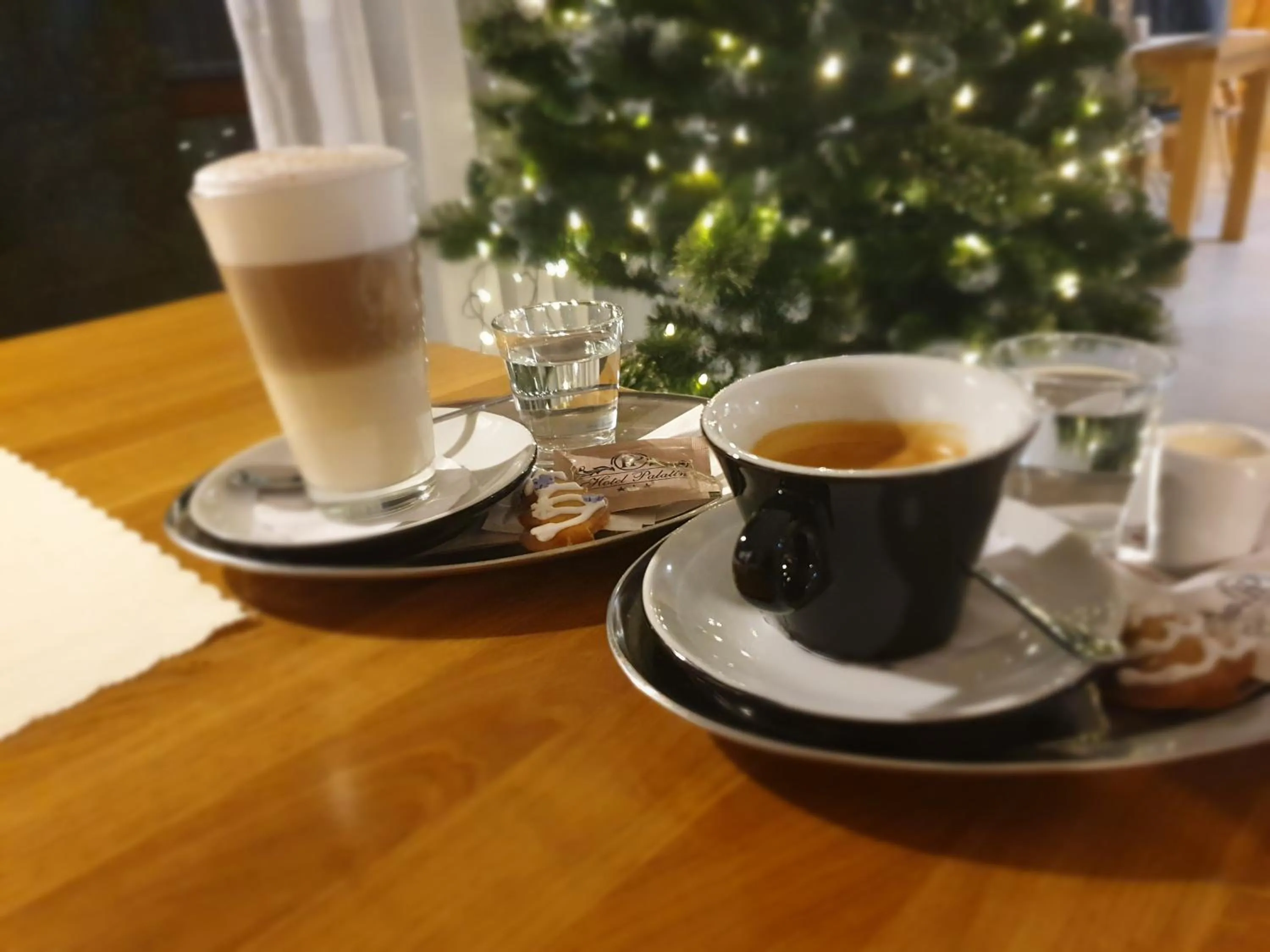 Food and drinks in Hotel Palatín