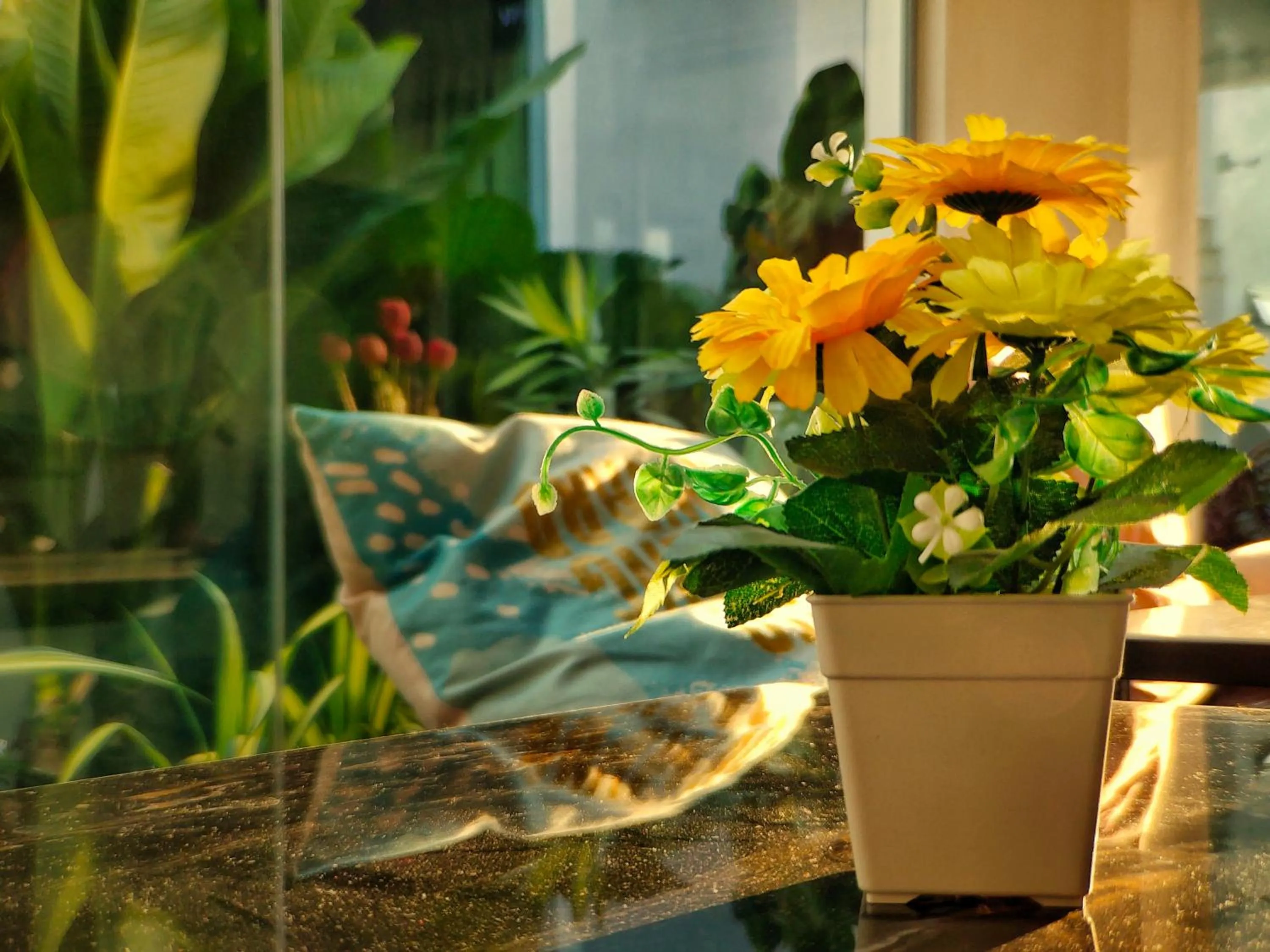 Property building in Beds In Garden Hostel