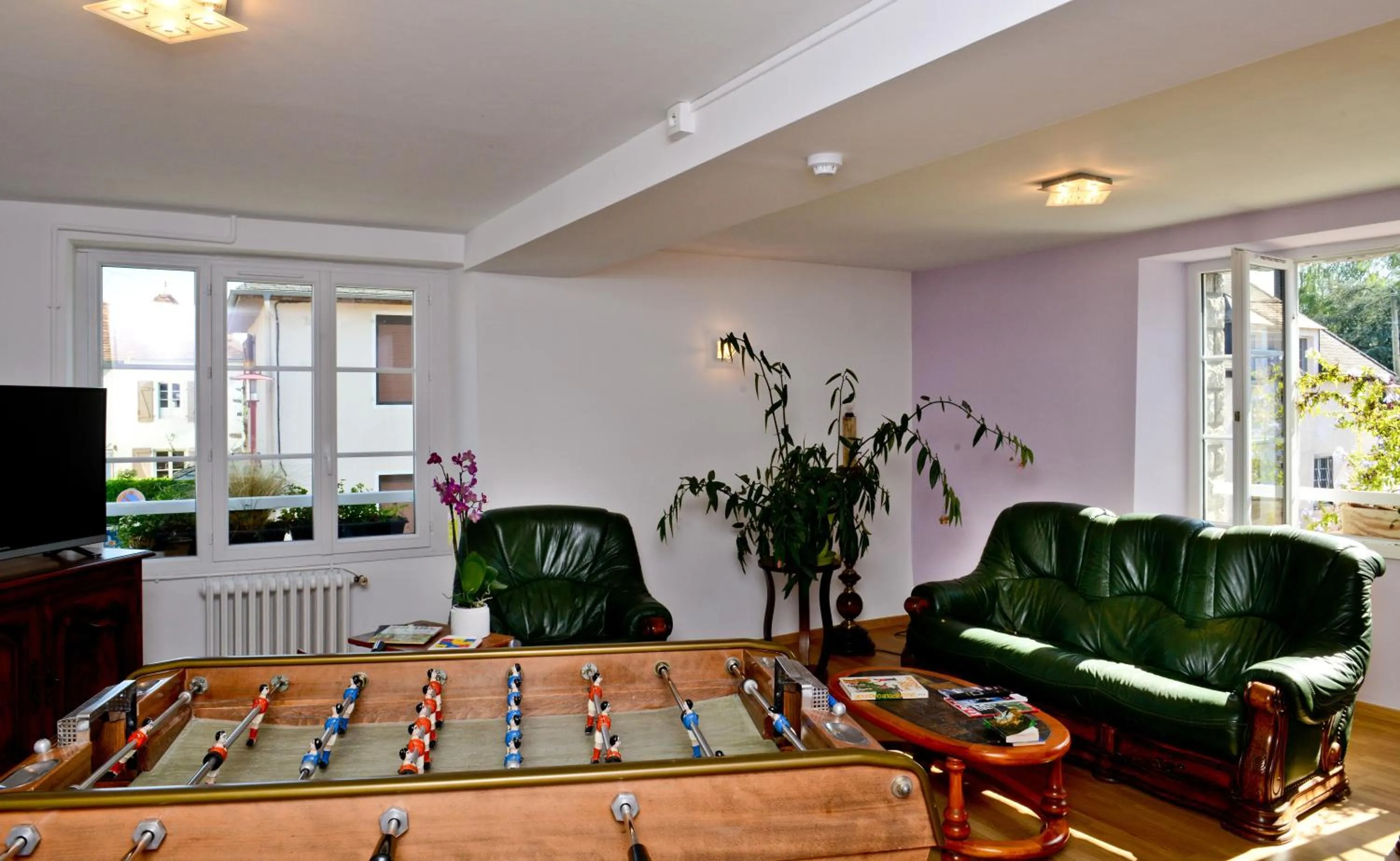 TV and multimedia in Logis Chez Germaine