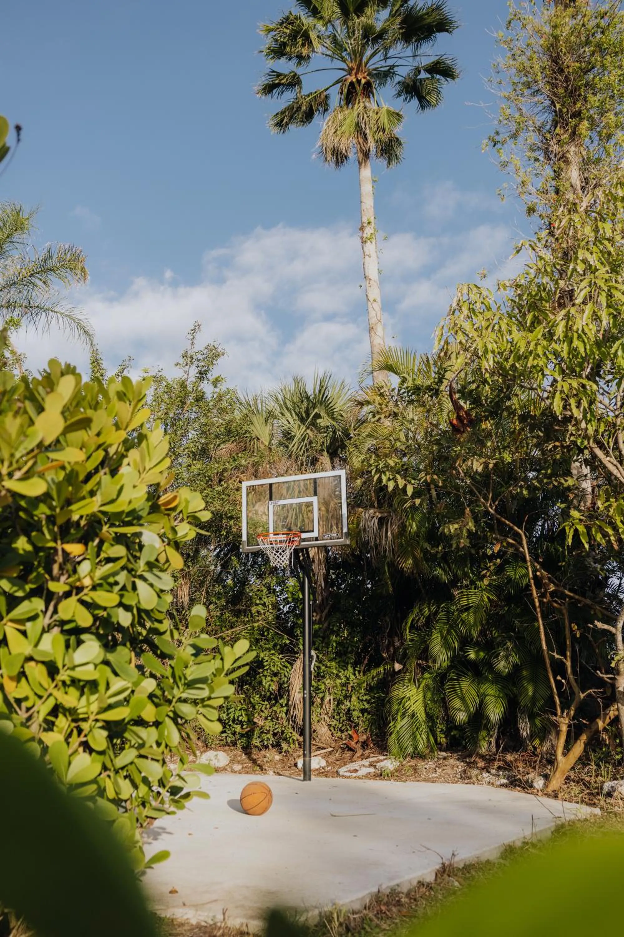 Area and facilities in Pyramids in Florida