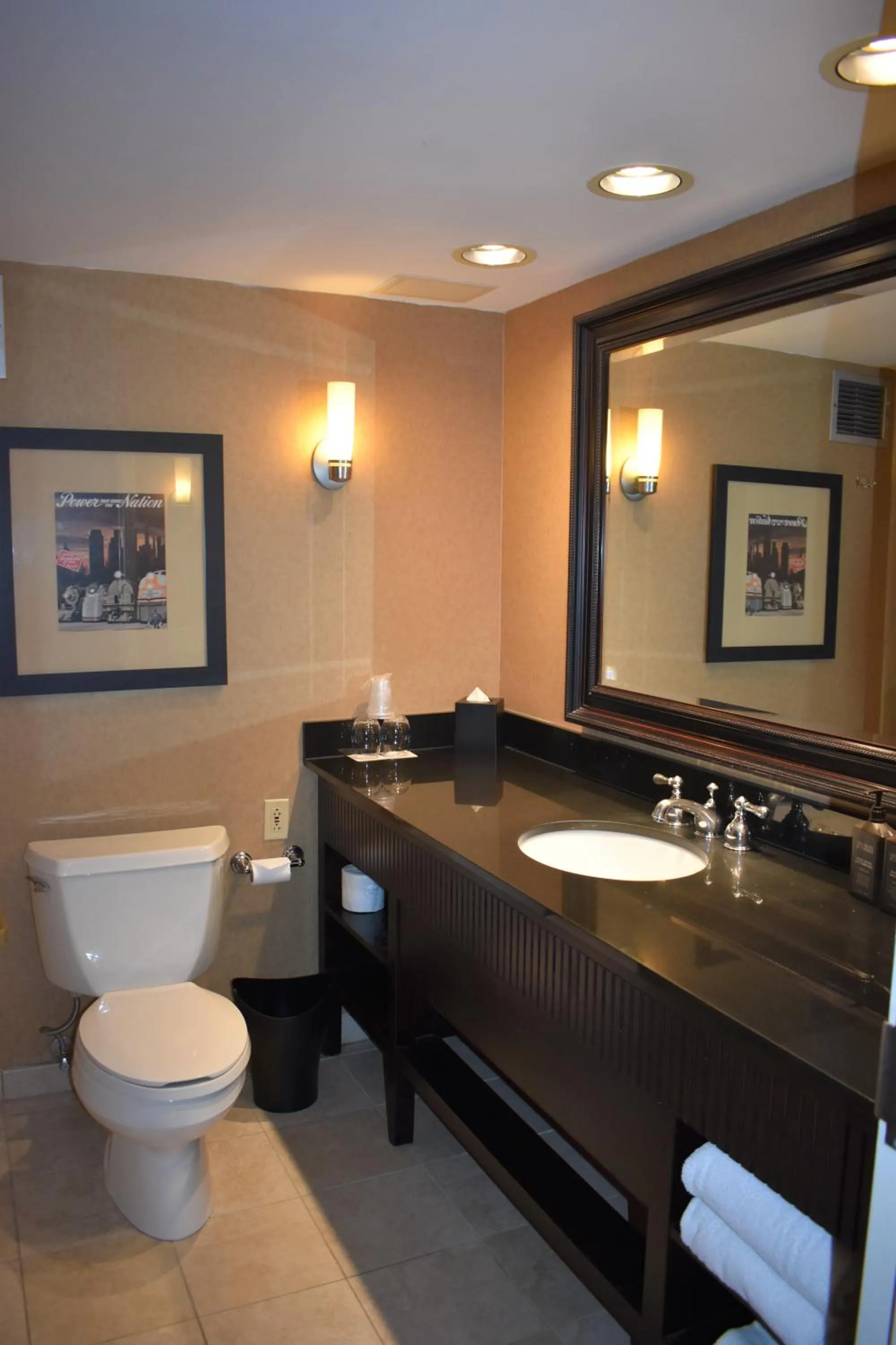 Bathroom in Sheraton Lisle Naperville Hotel