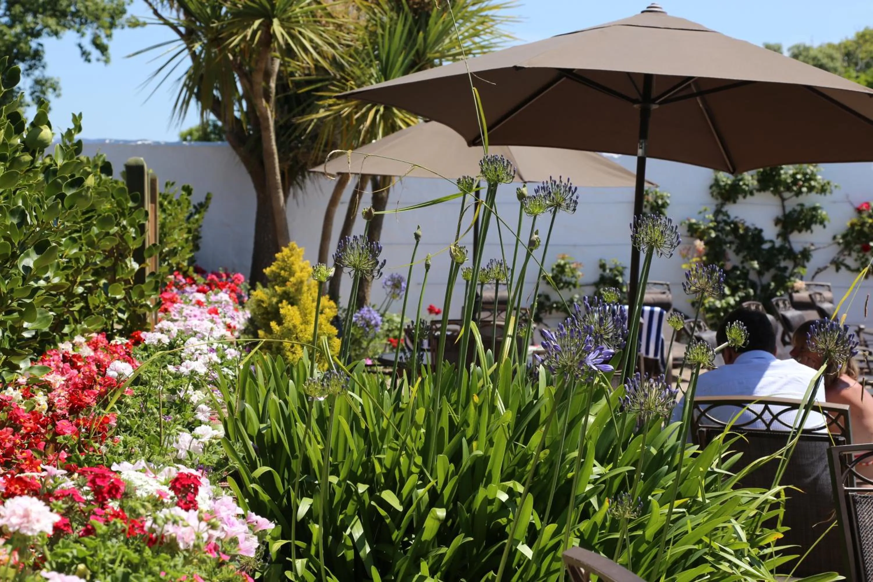 Garden in Hotel La Place