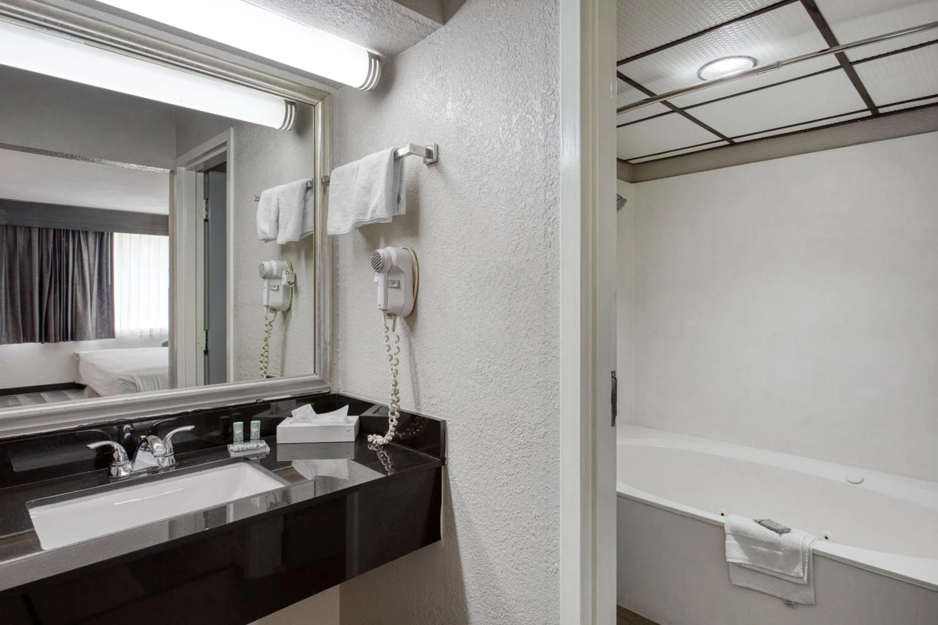Bathroom in Best Western Executive Inn