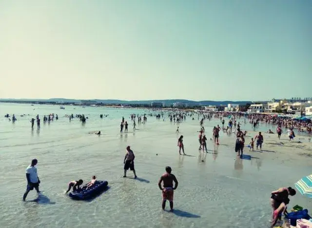 Francesco B&B - Torre Canne Francesco B&B - Torre Canne