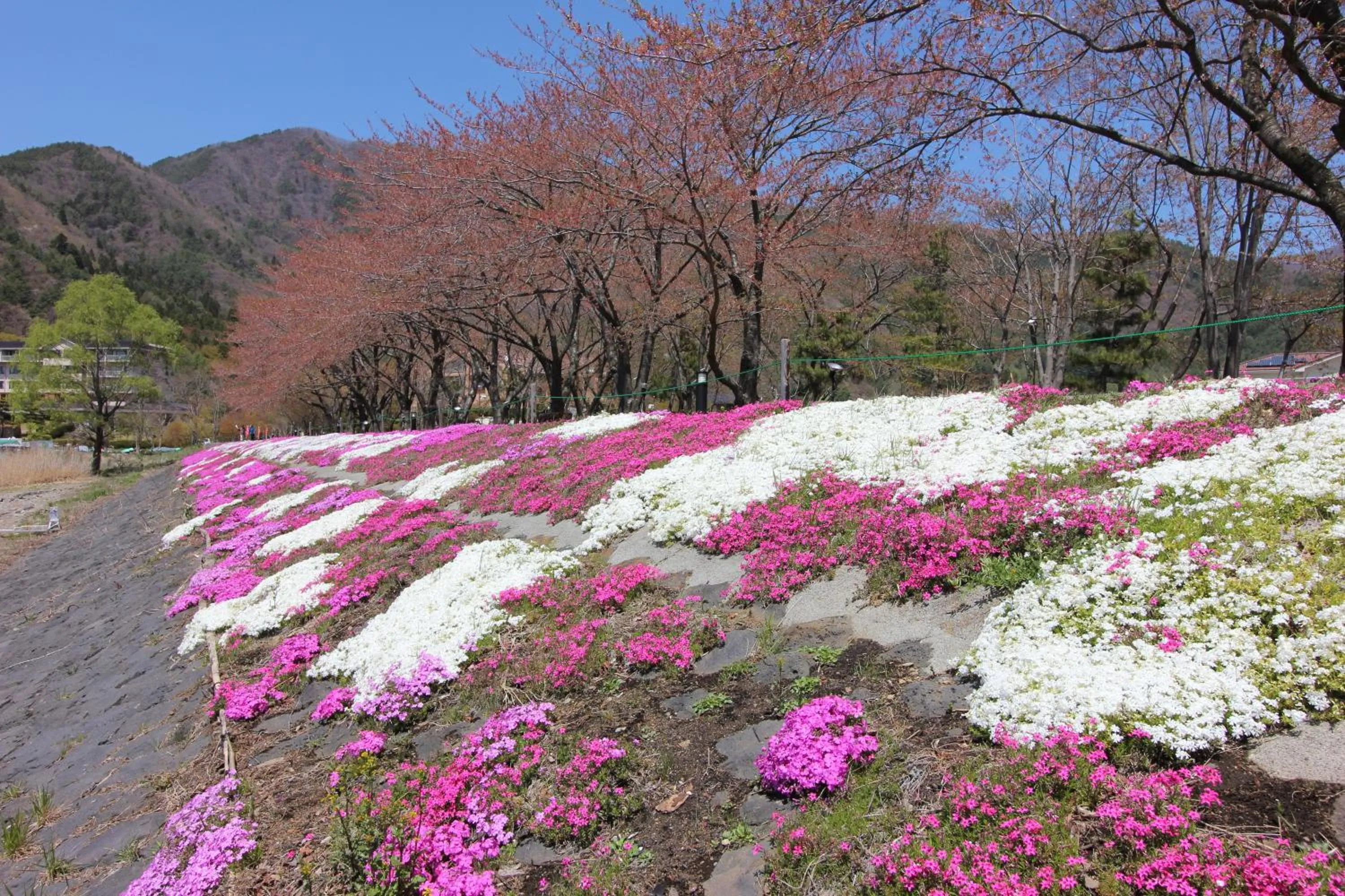 Area and facilities in Ururun Kawaguchiko
