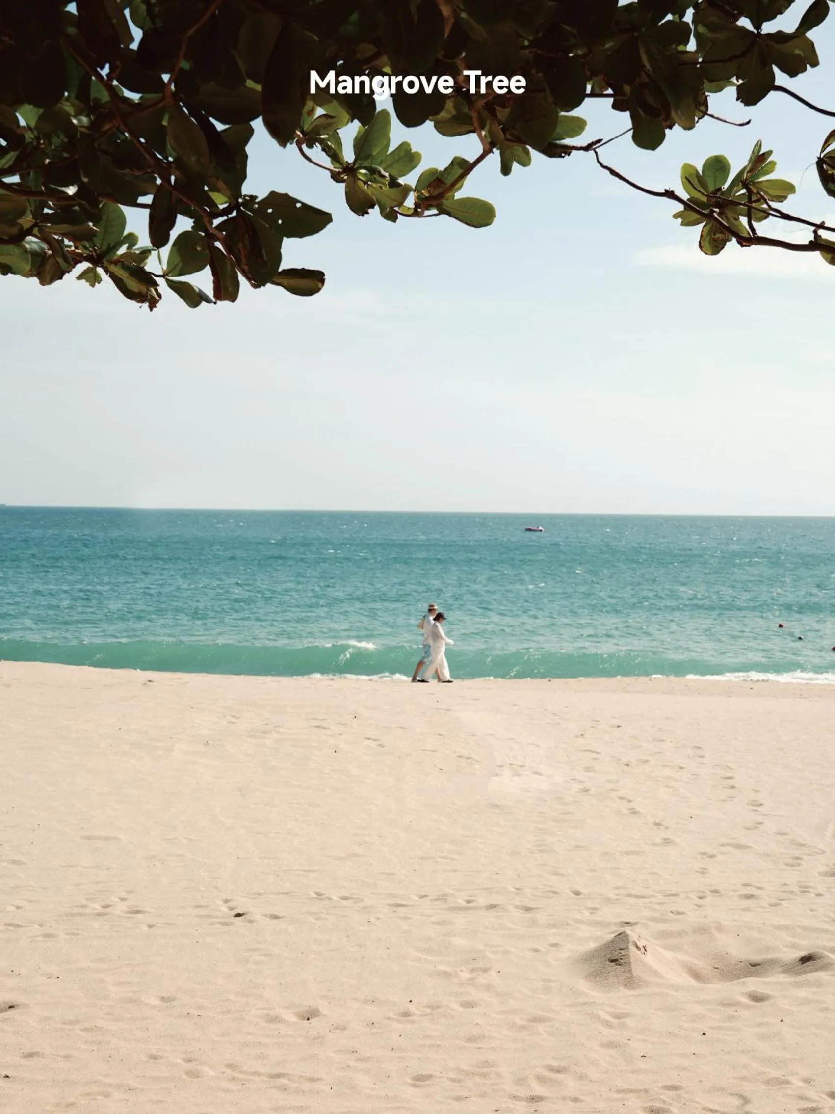 Natural landscape in Yalong Bay Mangrove Tree Resort