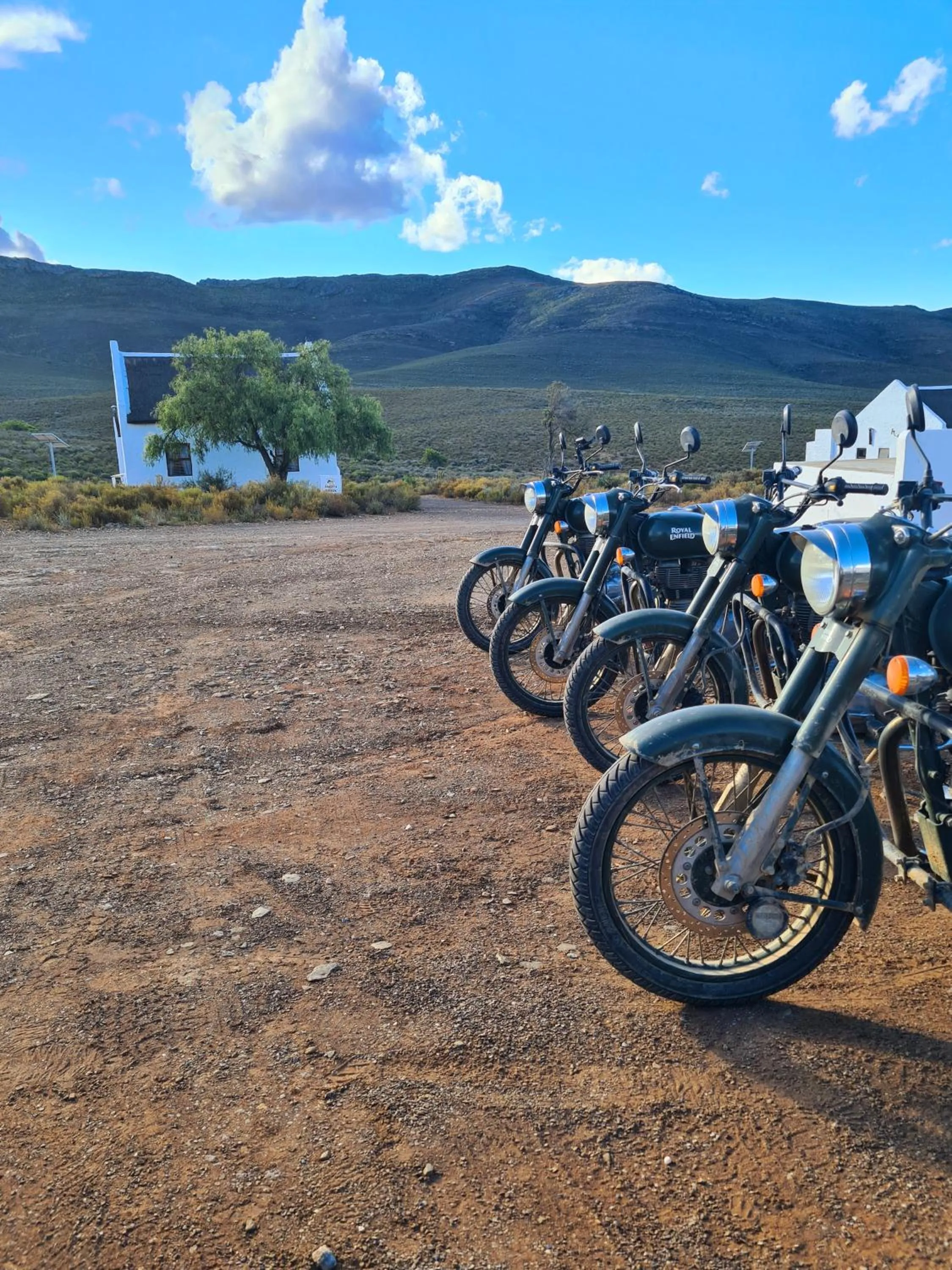 Property building in African Game Lodge