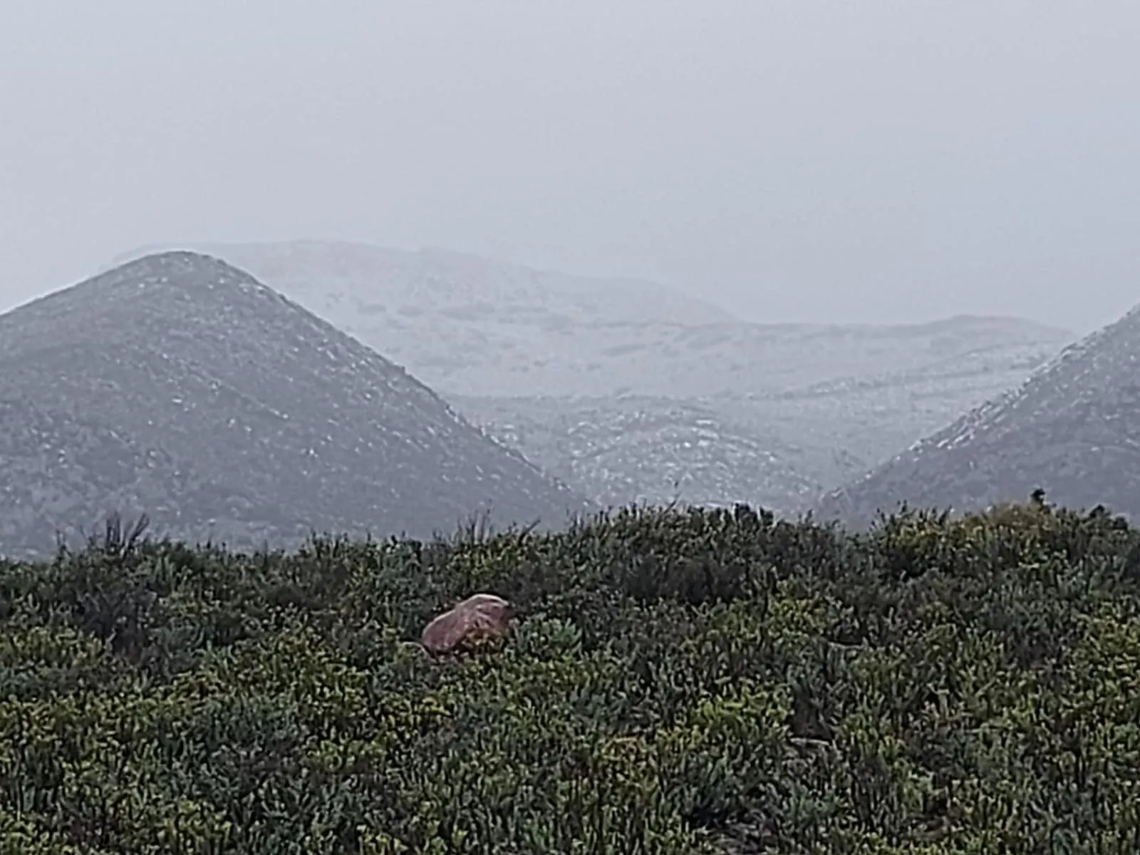 Winter in African Game Lodge