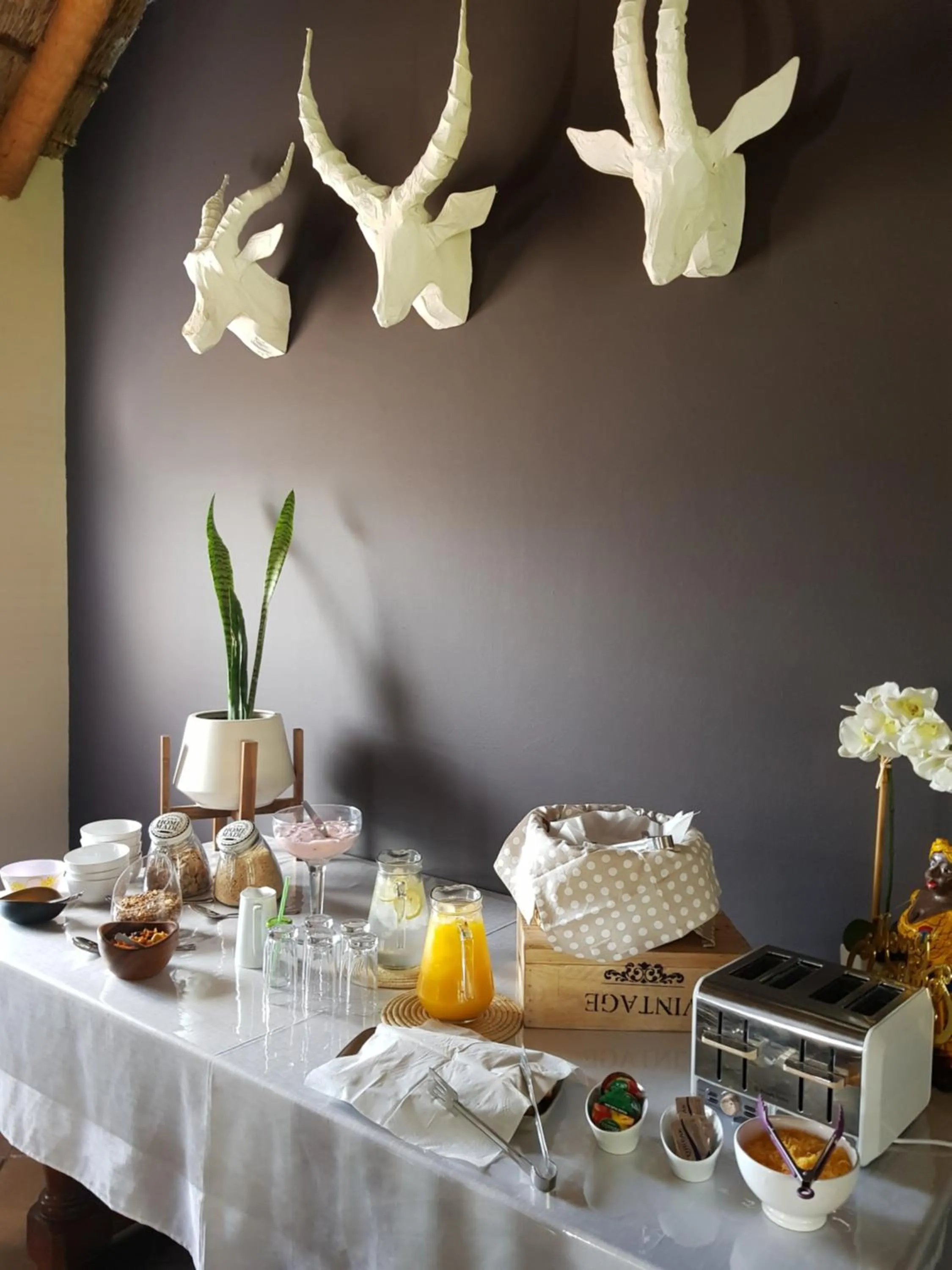 Breakfast in African Game Lodge