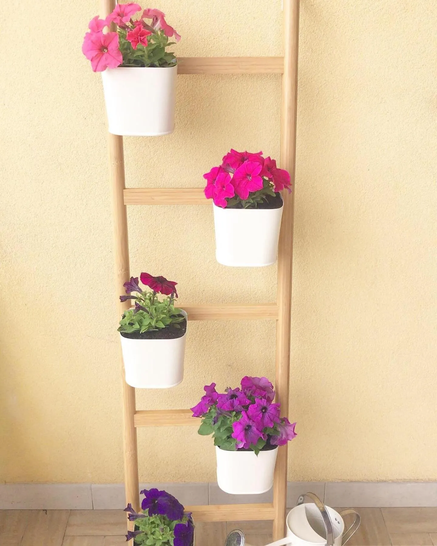 Property building in aMarti Suites B&B