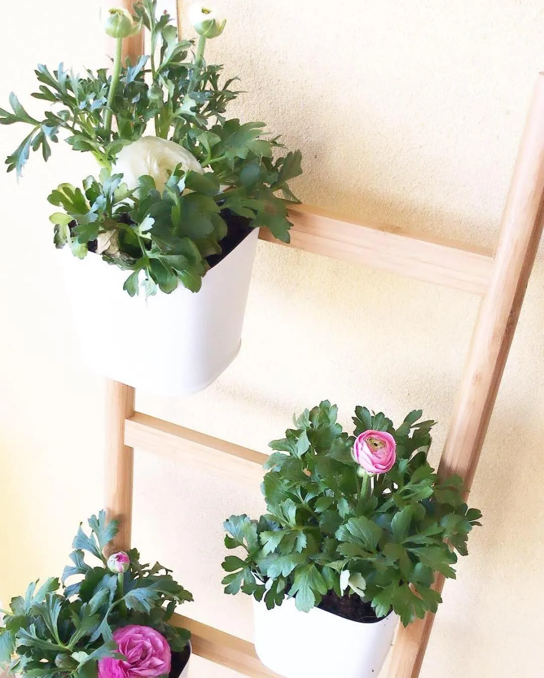 Balcony/Terrace in aMarti Suites B&B