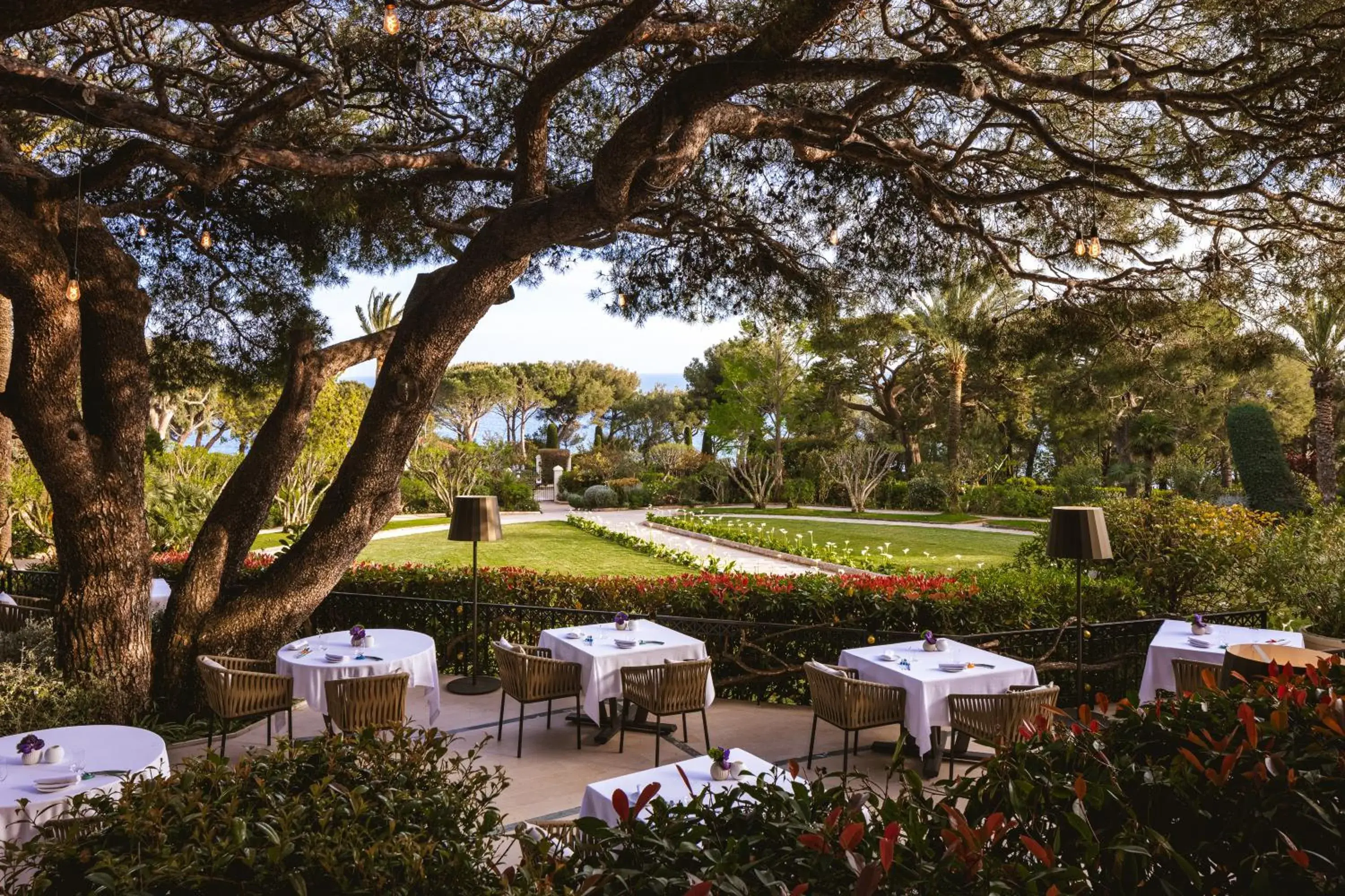 Restaurant/places to eat in Grand-Hôtel du Cap-Ferrat, A Four Seasons Hotel Restaurant/places to eat in Grand-Hôtel du Cap-Ferrat, A Four Seasons Hotel