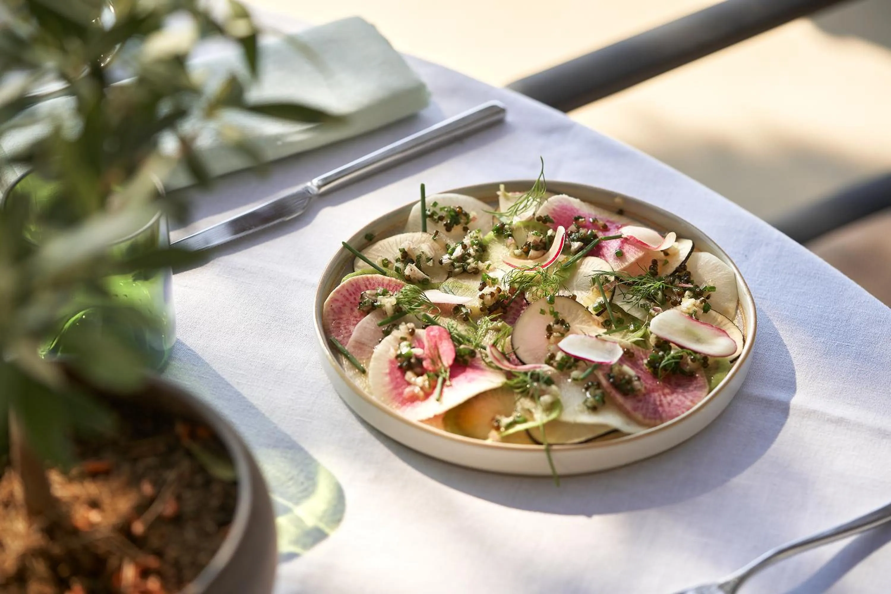 Food and drinks in Grand-Hôtel du Cap-Ferrat, A Four Seasons Hotel