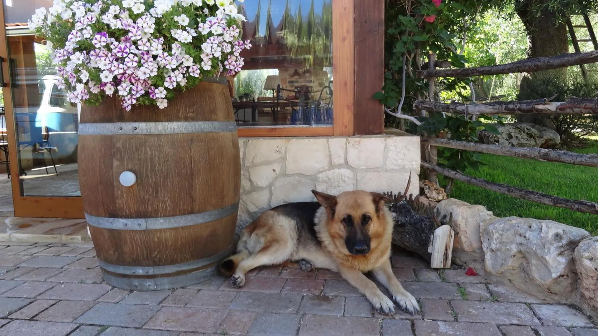 Day in Bed and Breakfast La Casetta