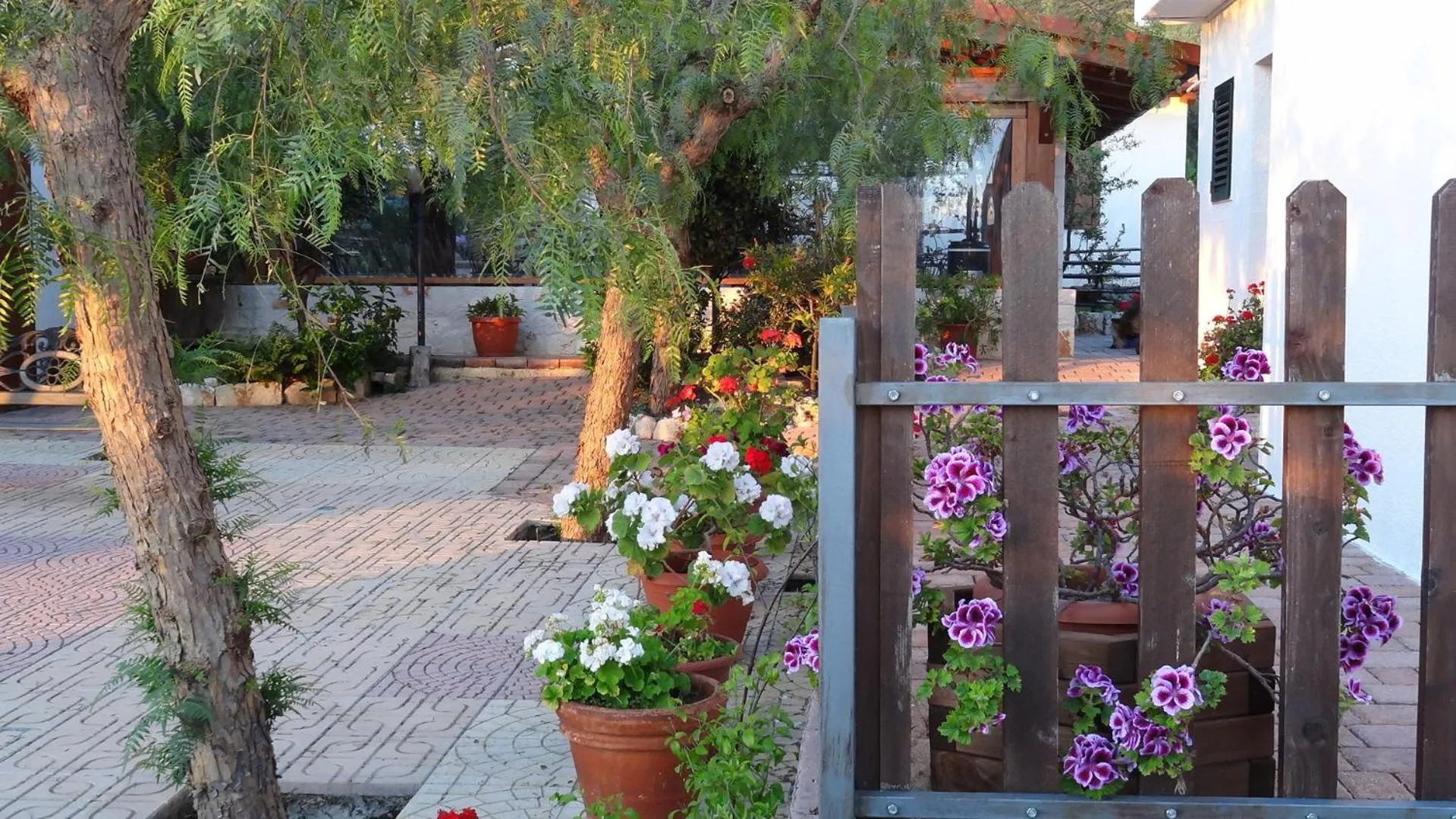 Other in Bed and Breakfast La Casetta