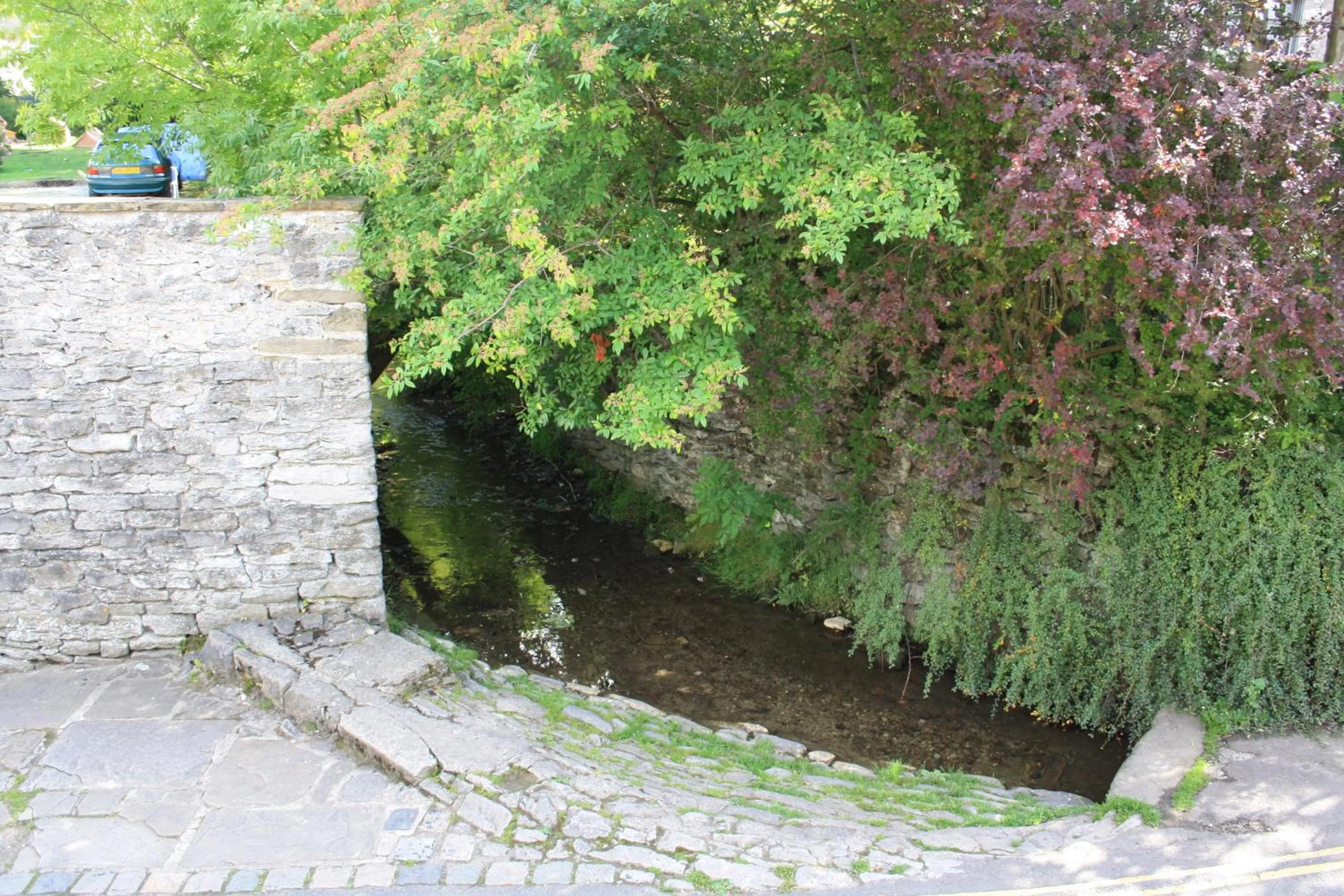 Garden view in Ramblers Rest