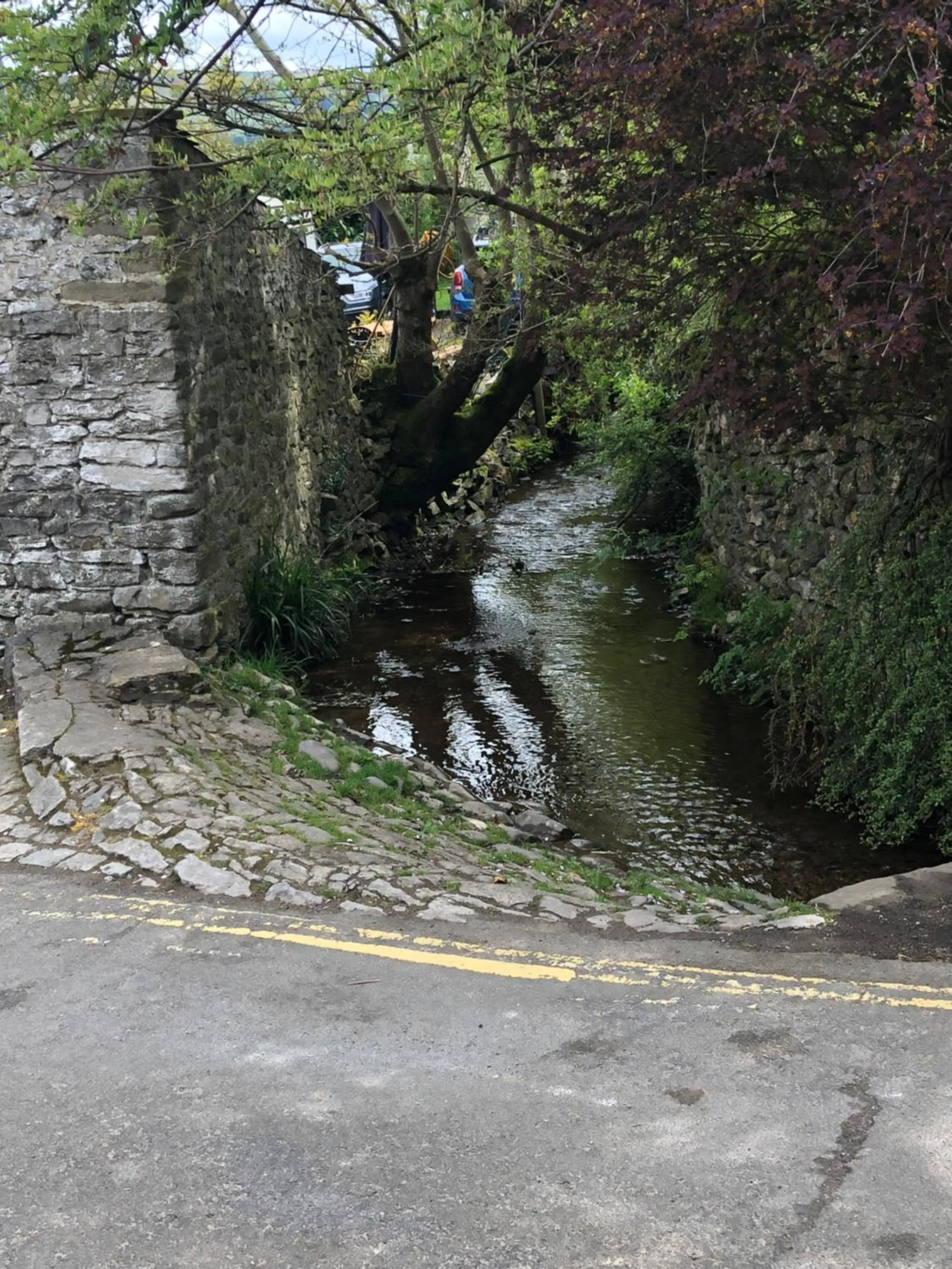 River view in Ramblers Rest