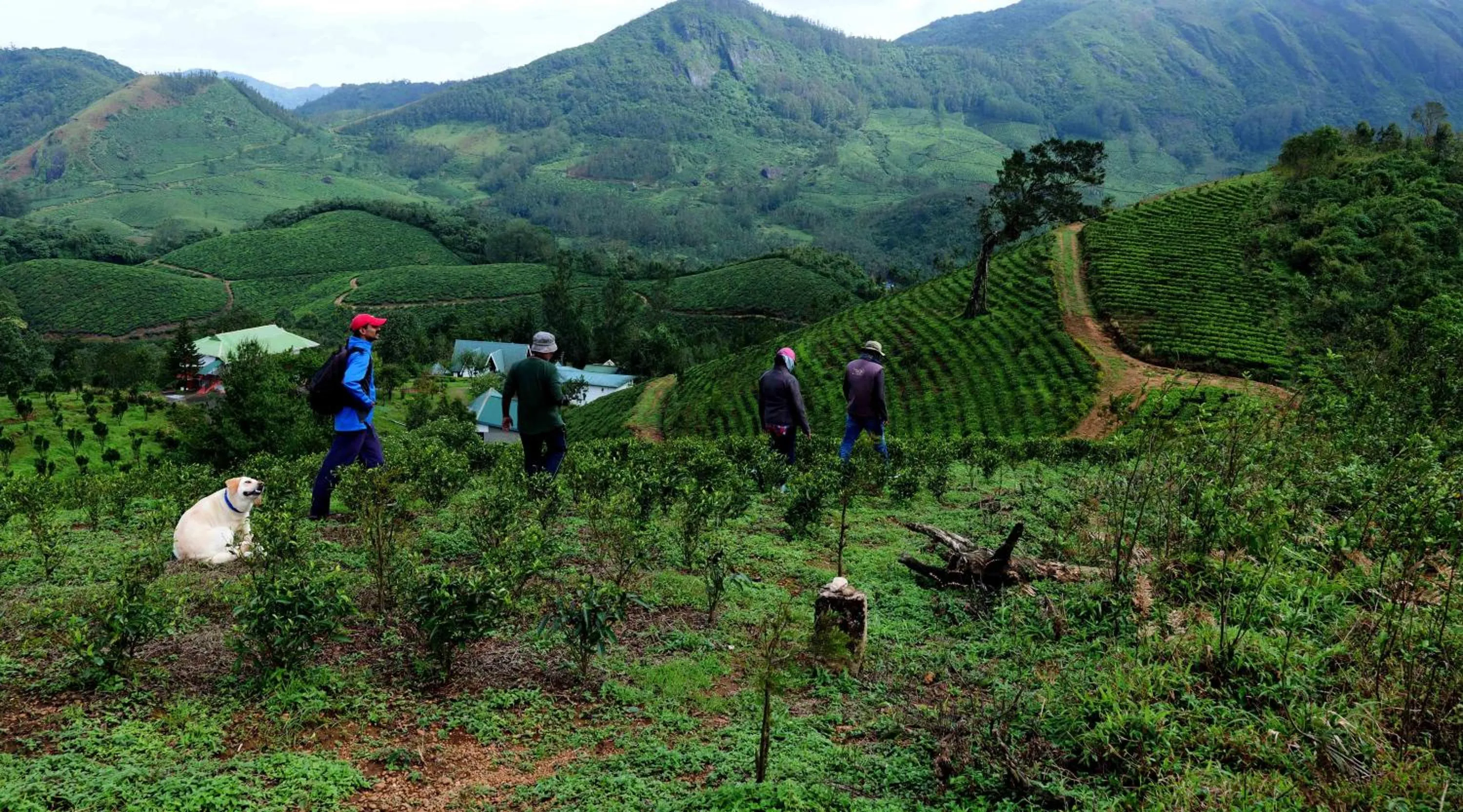 Hiking in Camelot Resort