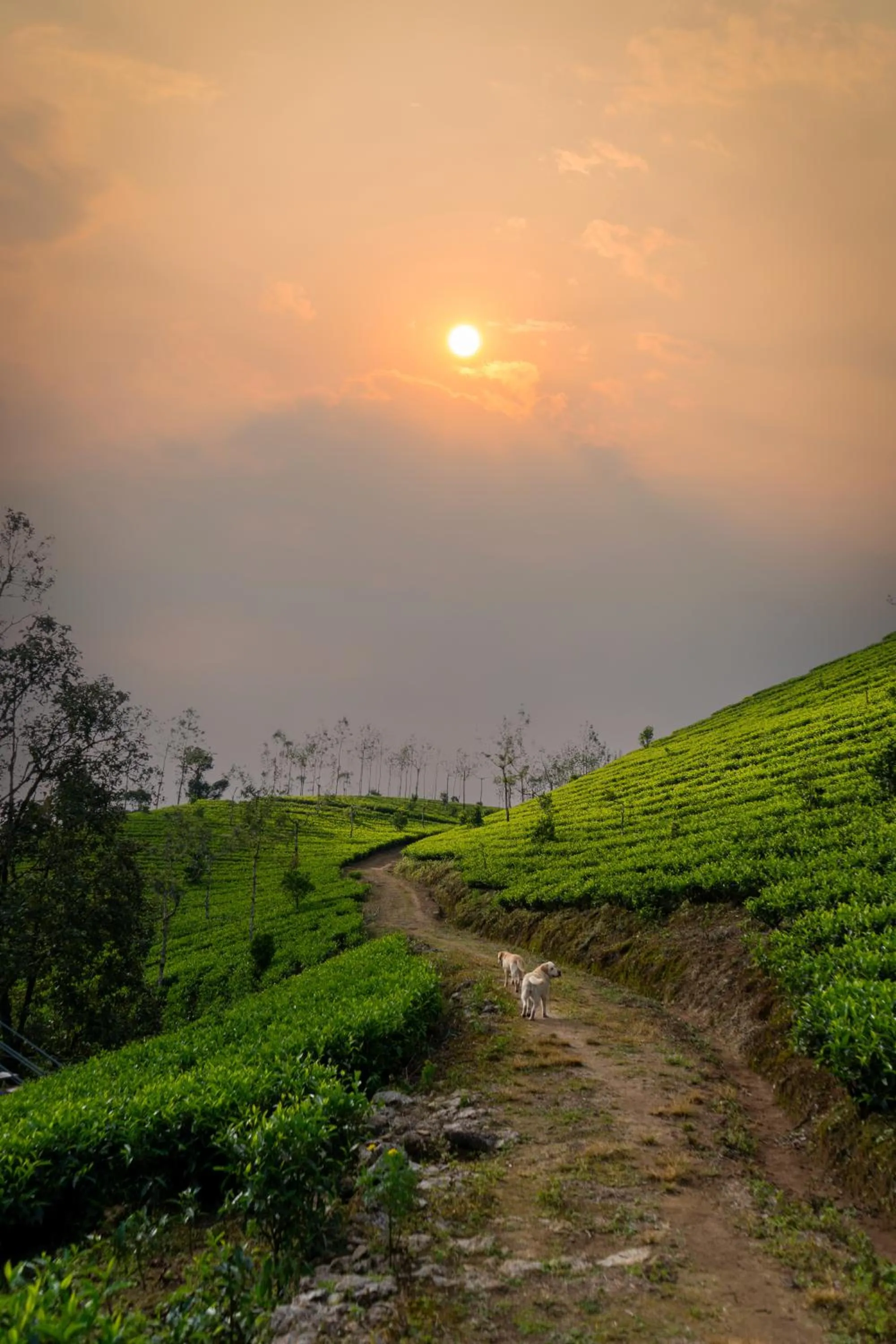 Mountain view in Camelot Resort