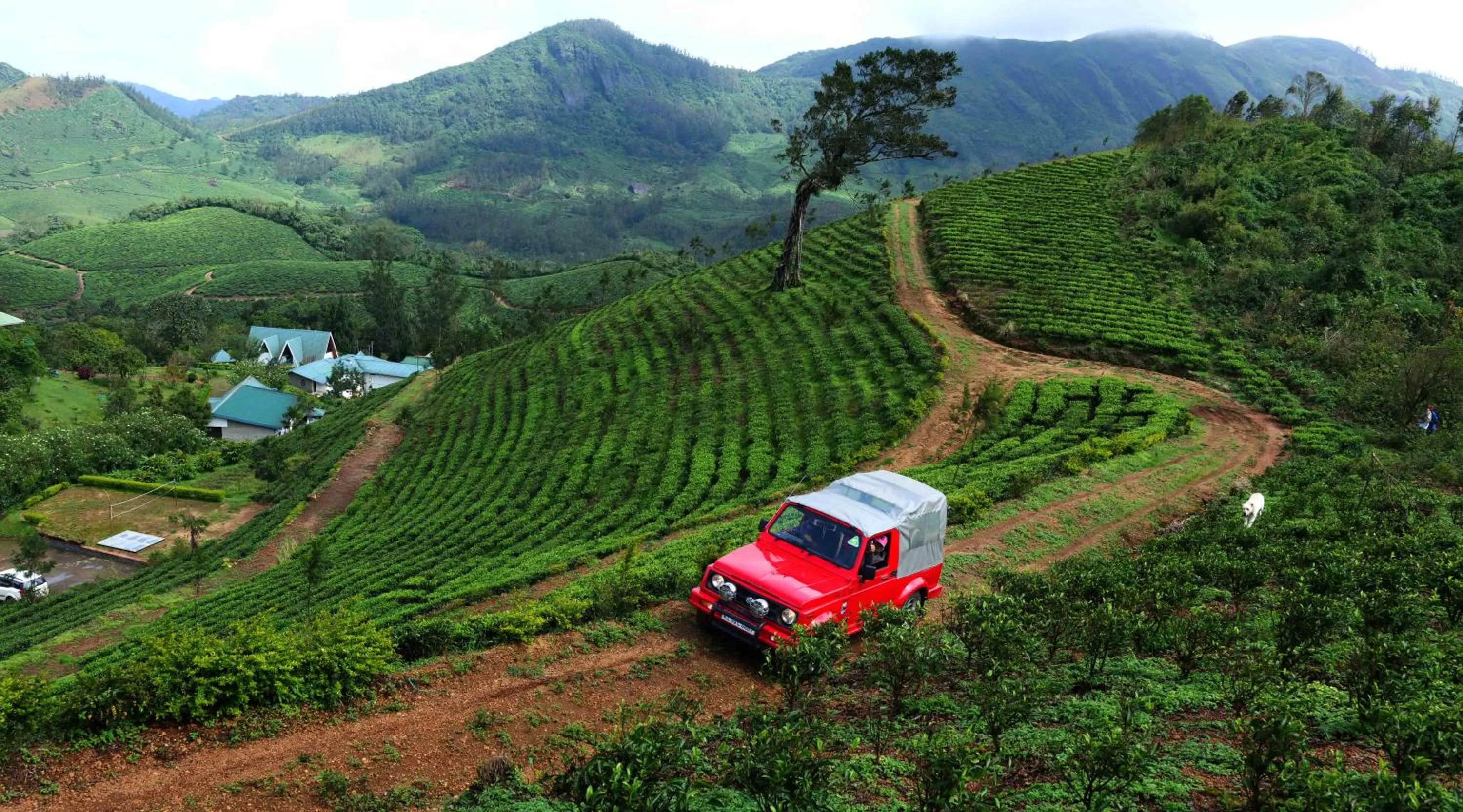 Mountain view in Camelot Resort