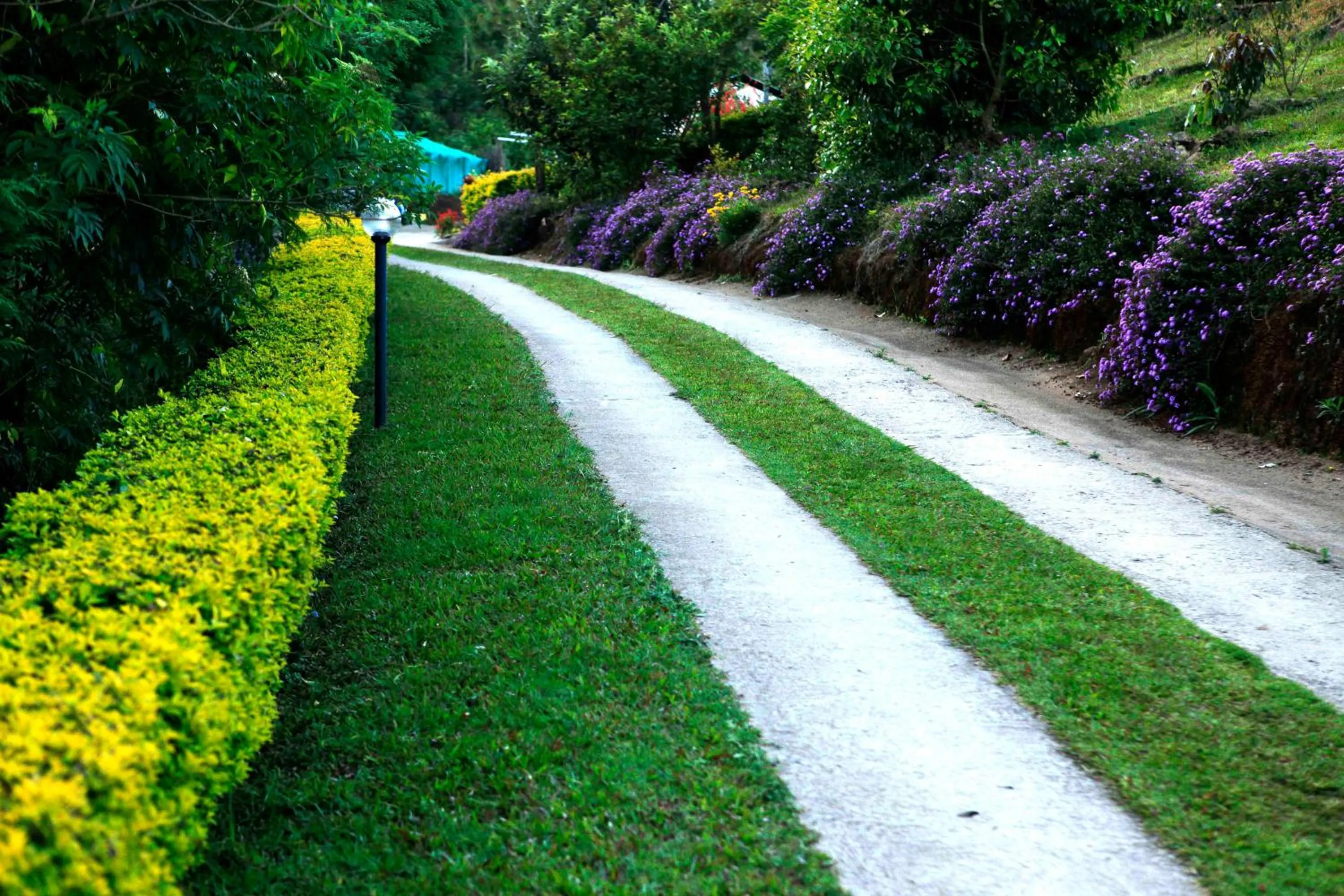 Garden in Camelot Resort