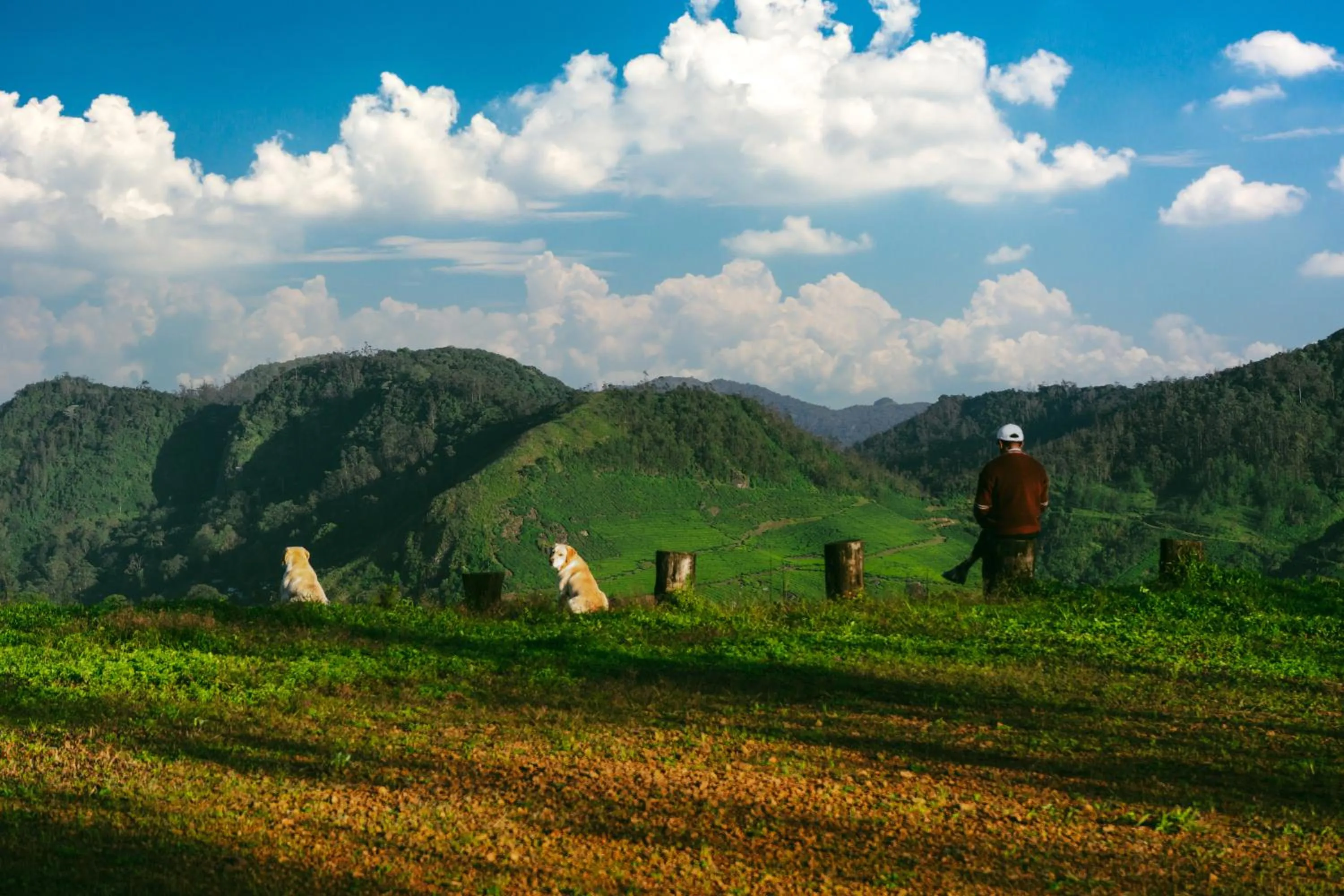 Mountain view in Camelot Resort