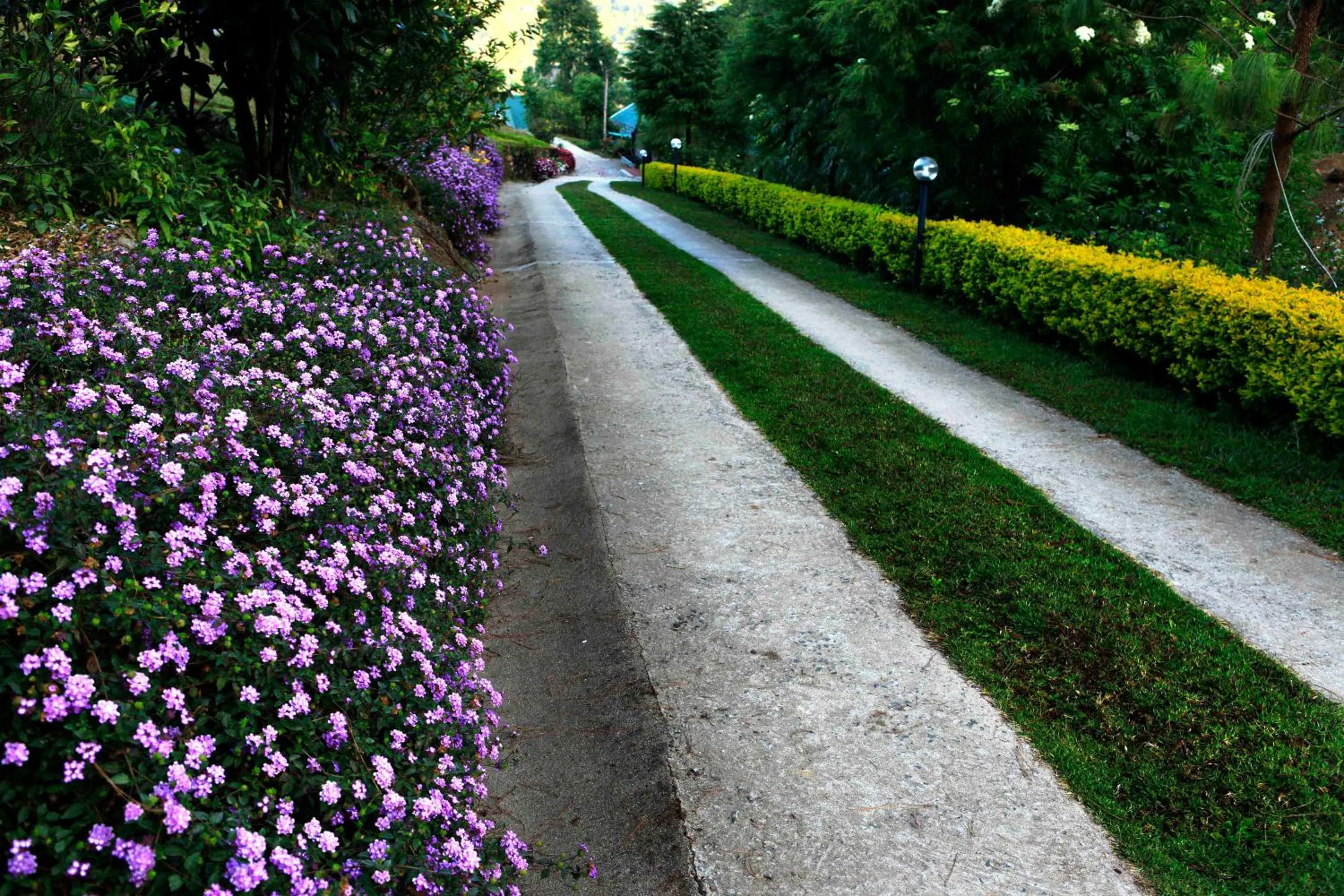 Garden view in Camelot Resort