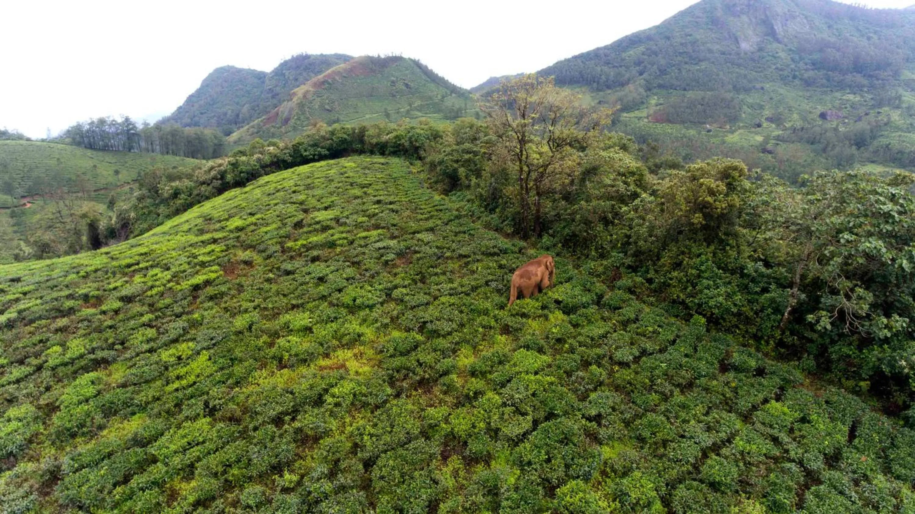 Natural landscape in Camelot Resort