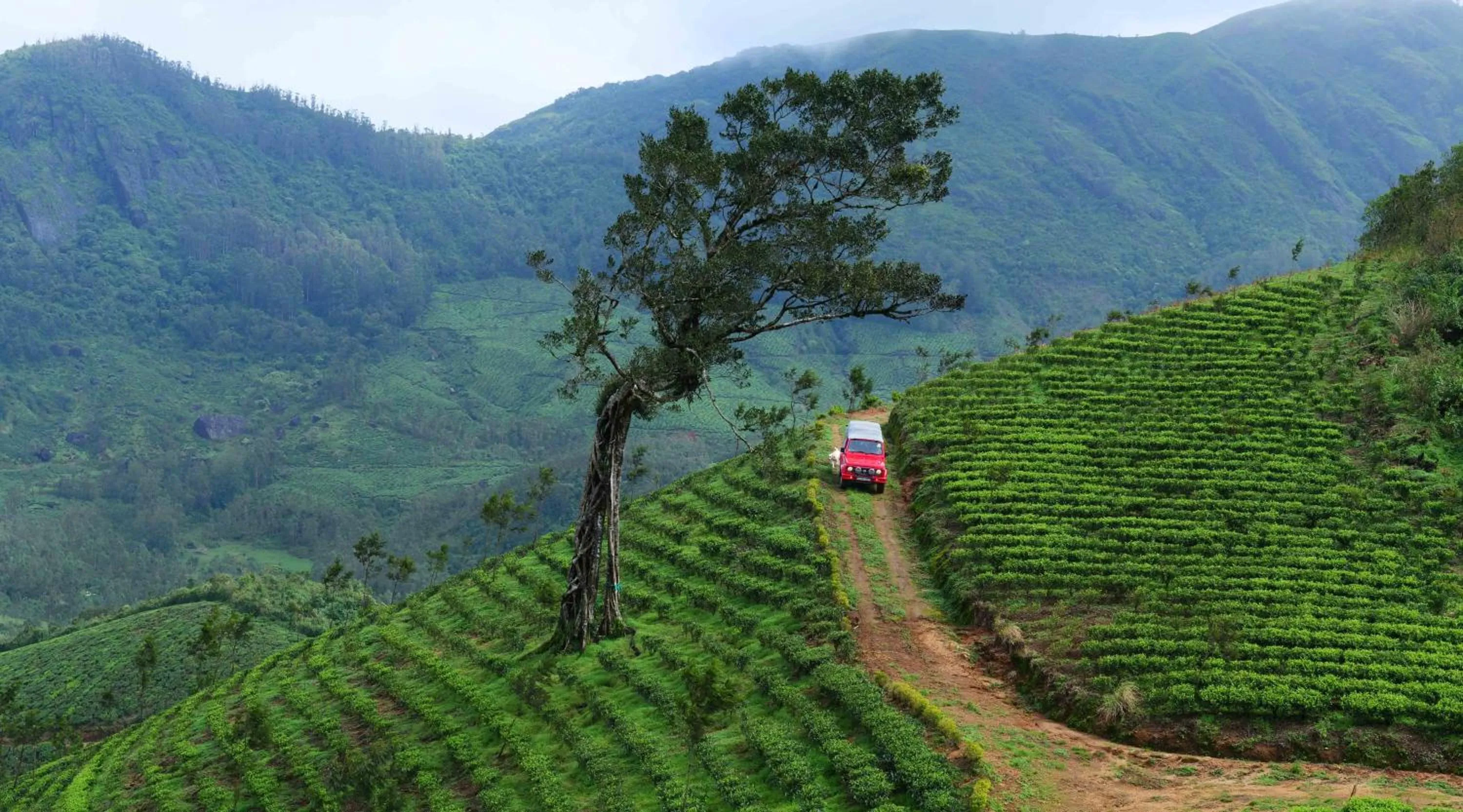 Natural landscape in Camelot Resort