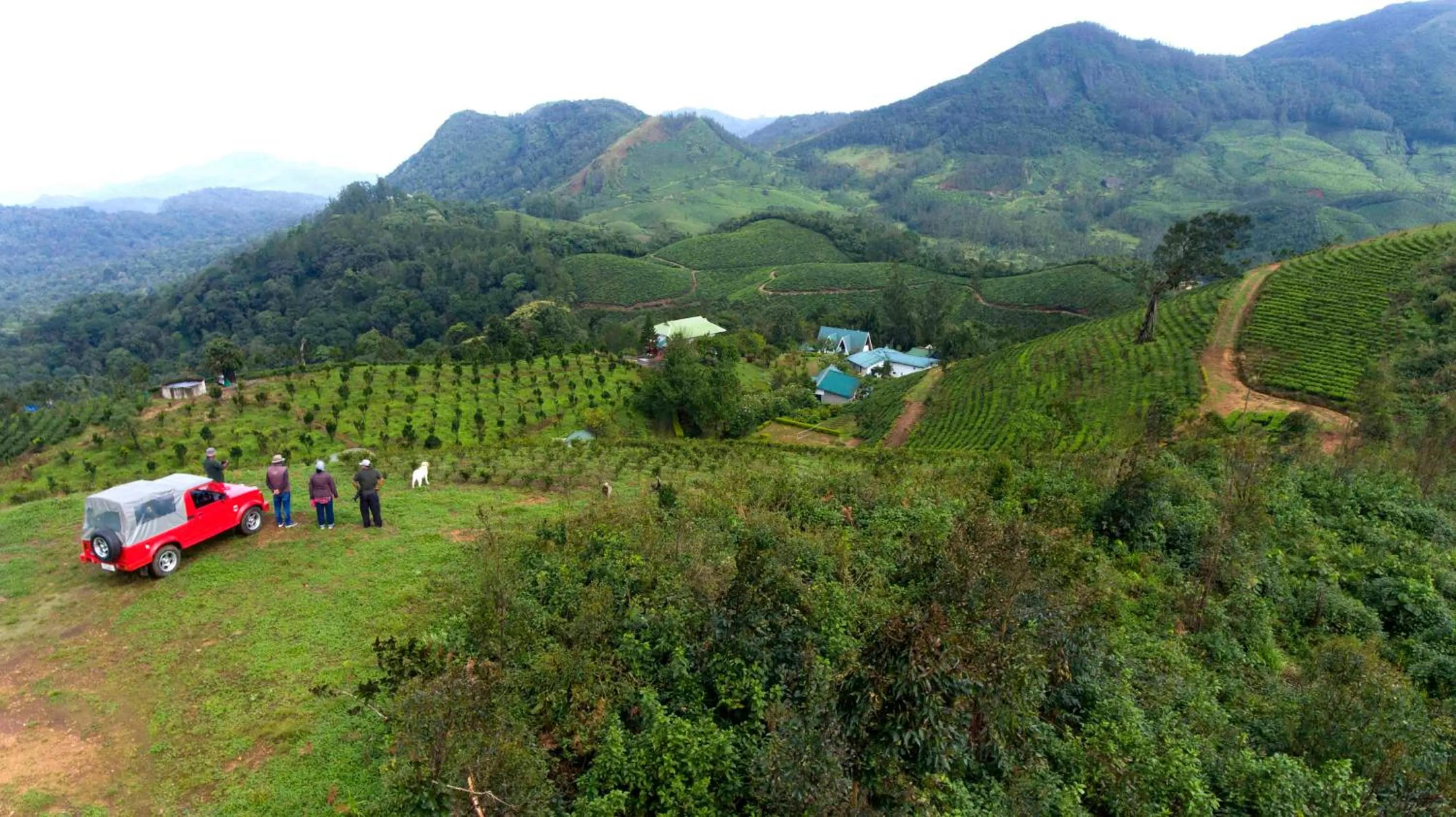 Natural landscape in Camelot Resort