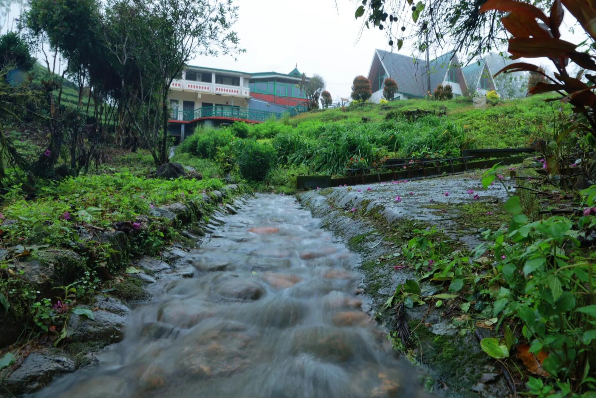 Day in Camelot Resort