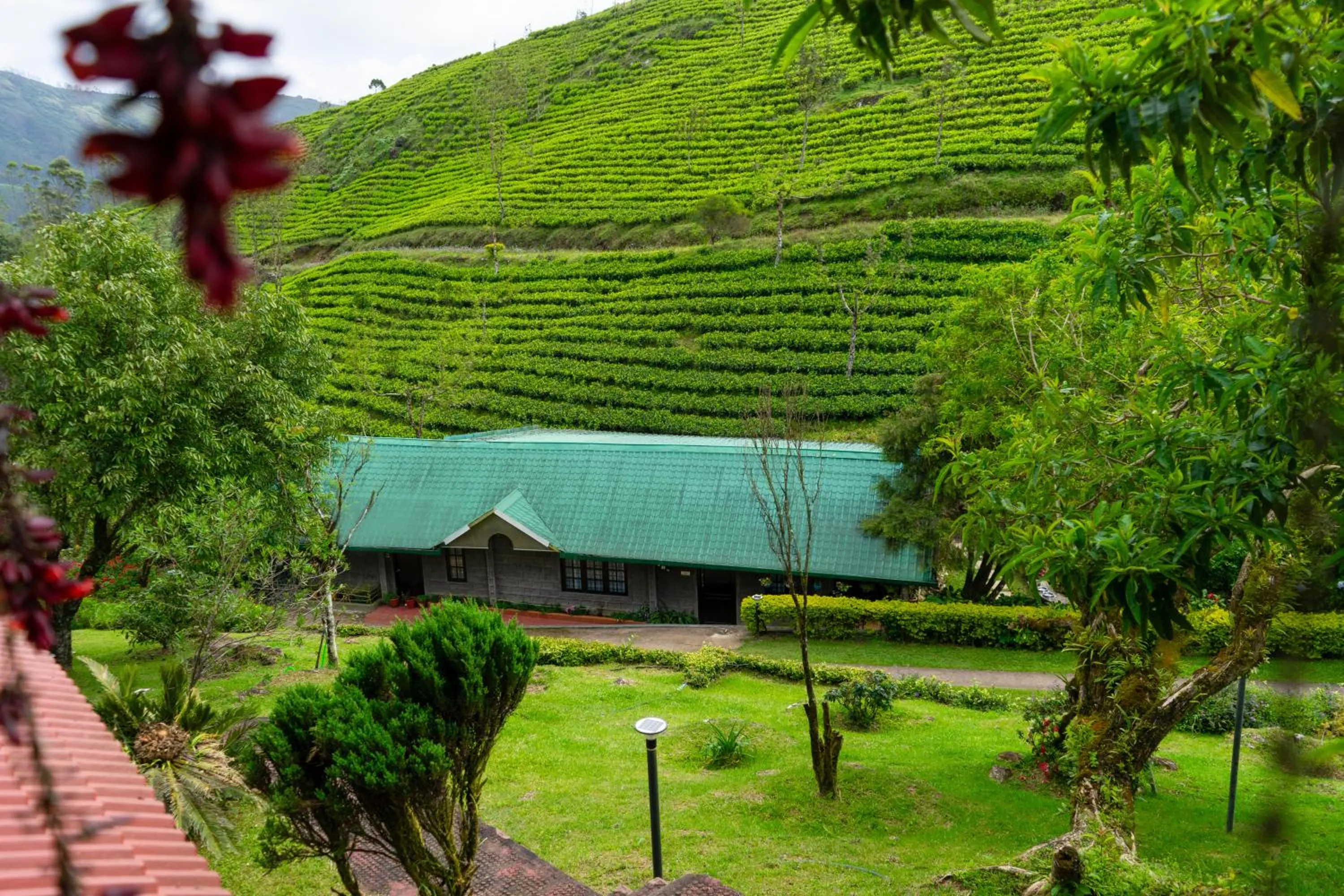 Property building in Camelot Resort