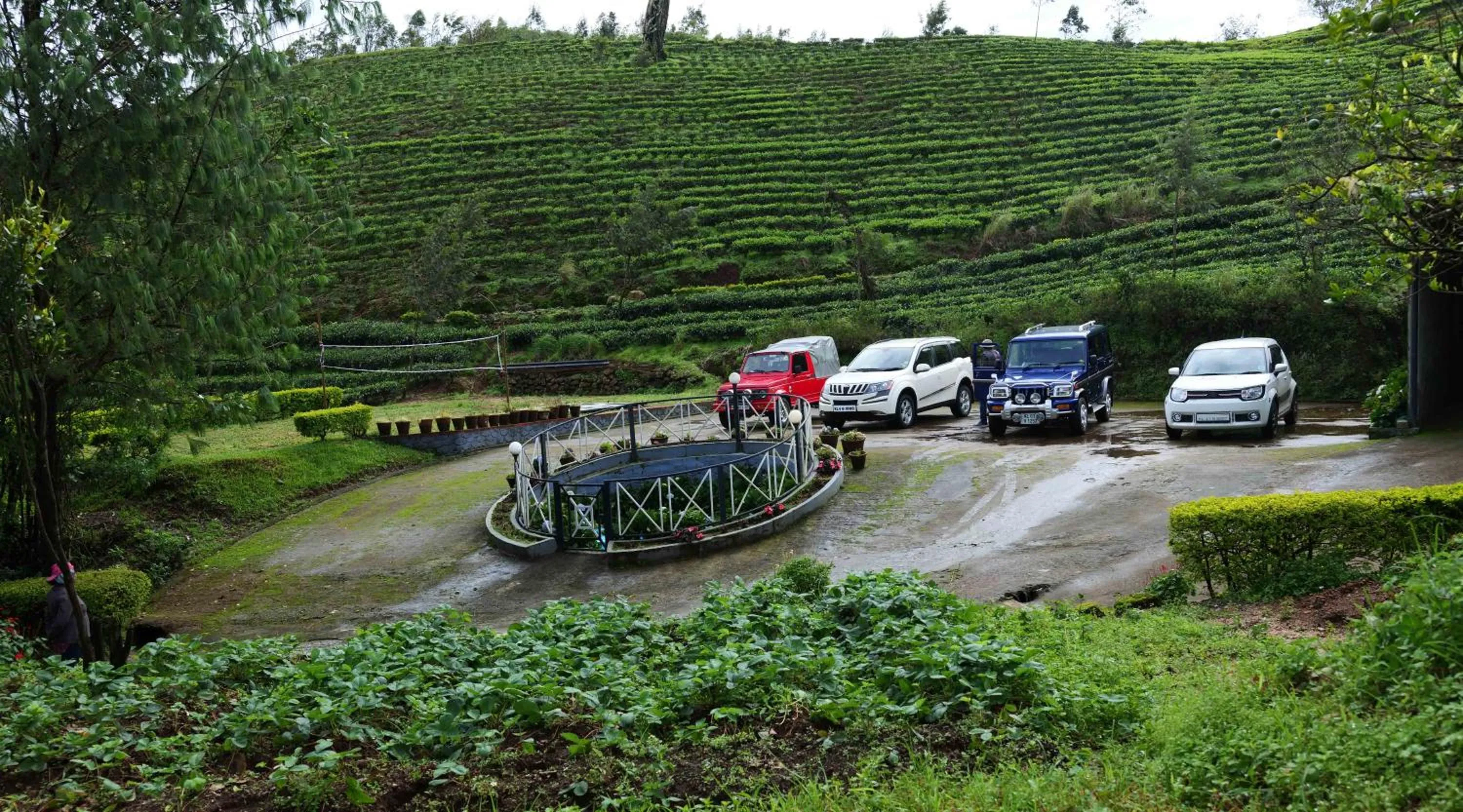 Natural landscape in Camelot Resort