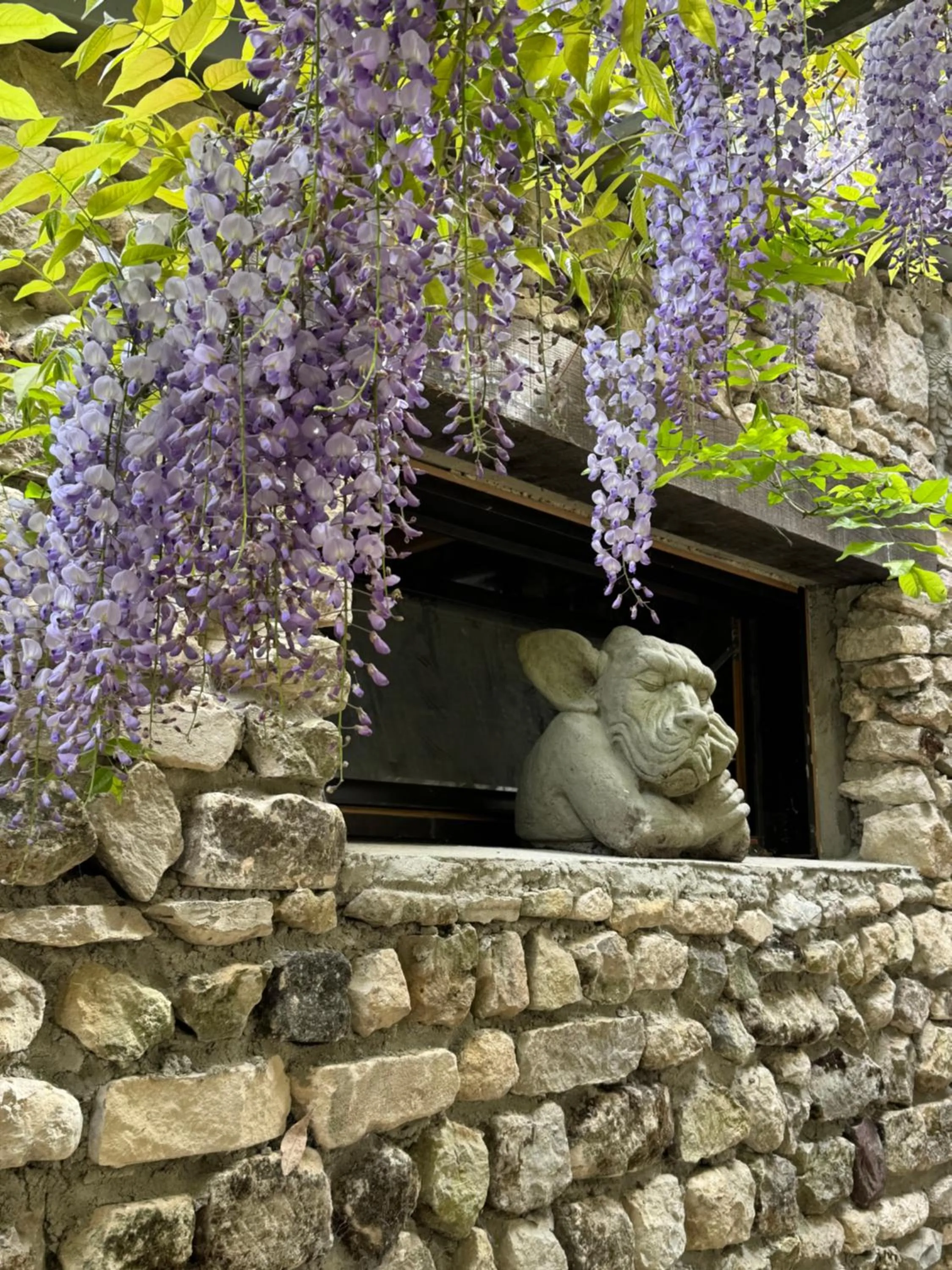 Garden in Aggarthi Bed and Breakfast