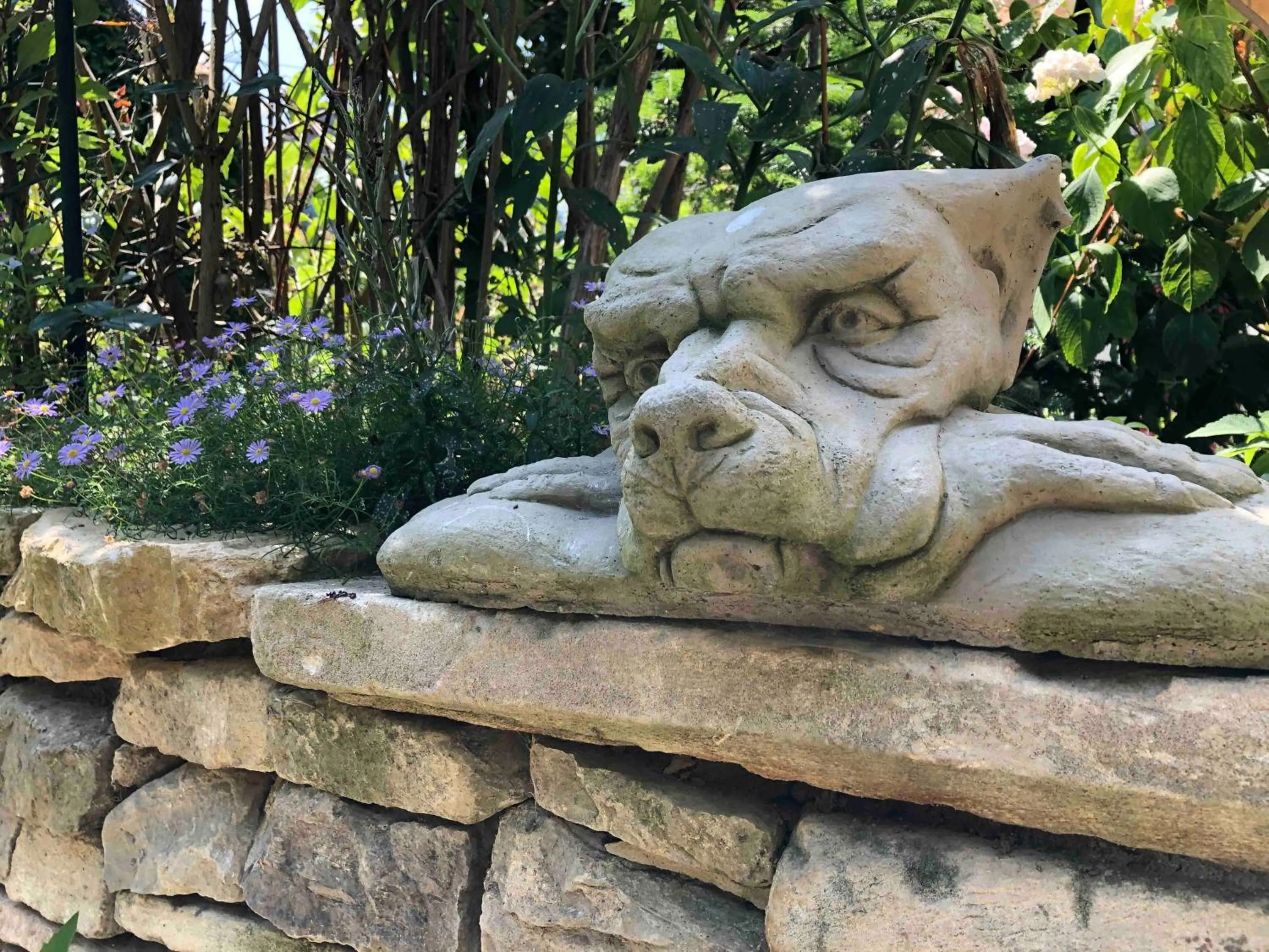 Garden in Aggarthi Bed and Breakfast