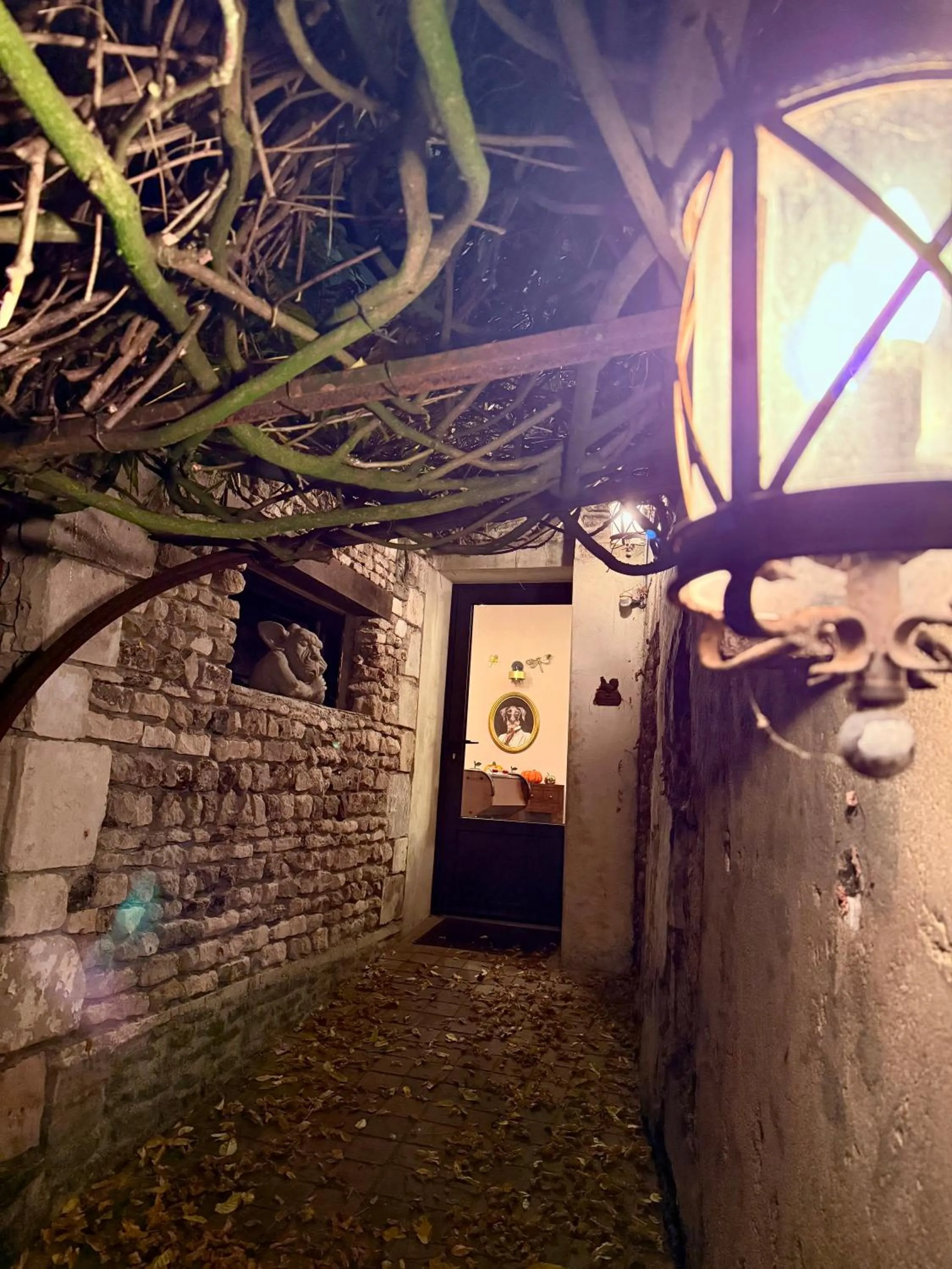 Garden in Aggarthi Bed and Breakfast